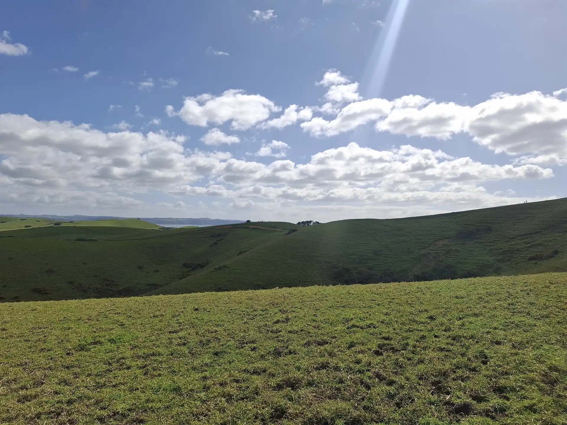 Wai Kōwhai Lot 10 -1