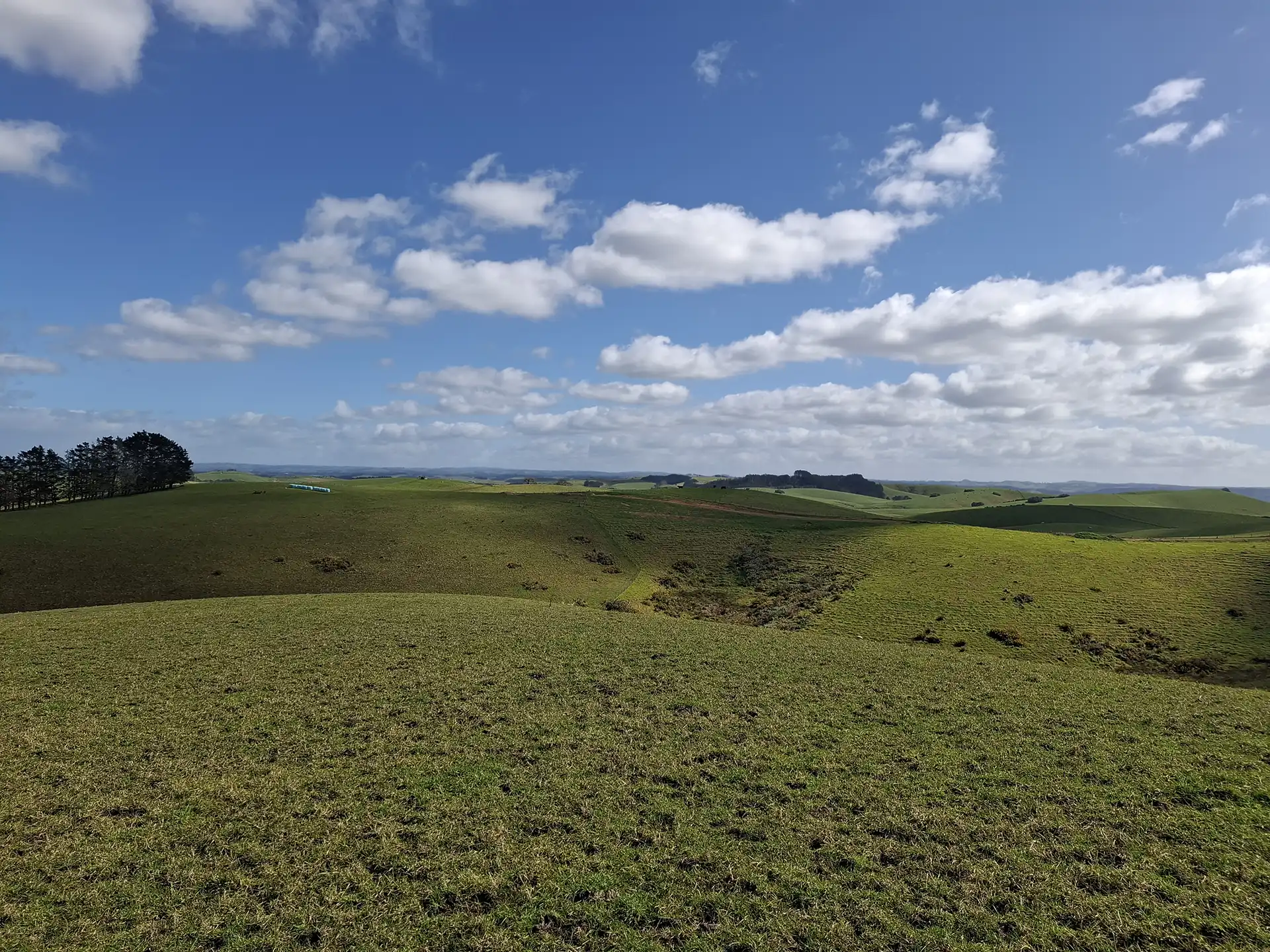 Wai Kōwhai Lot 10 -4