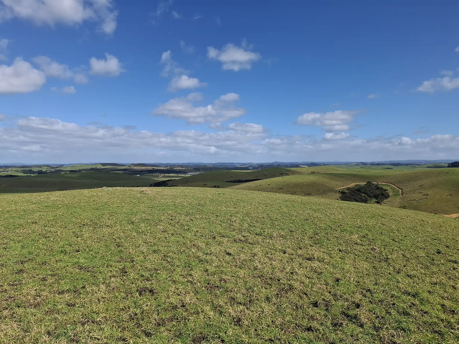 Wai Kōwhai Lot 11 -3