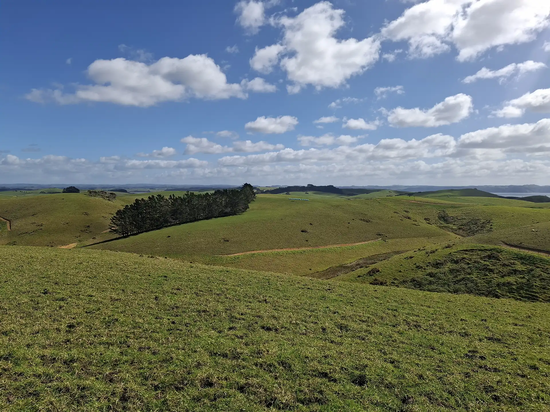 Wai Kōwhai Lot 11 -4