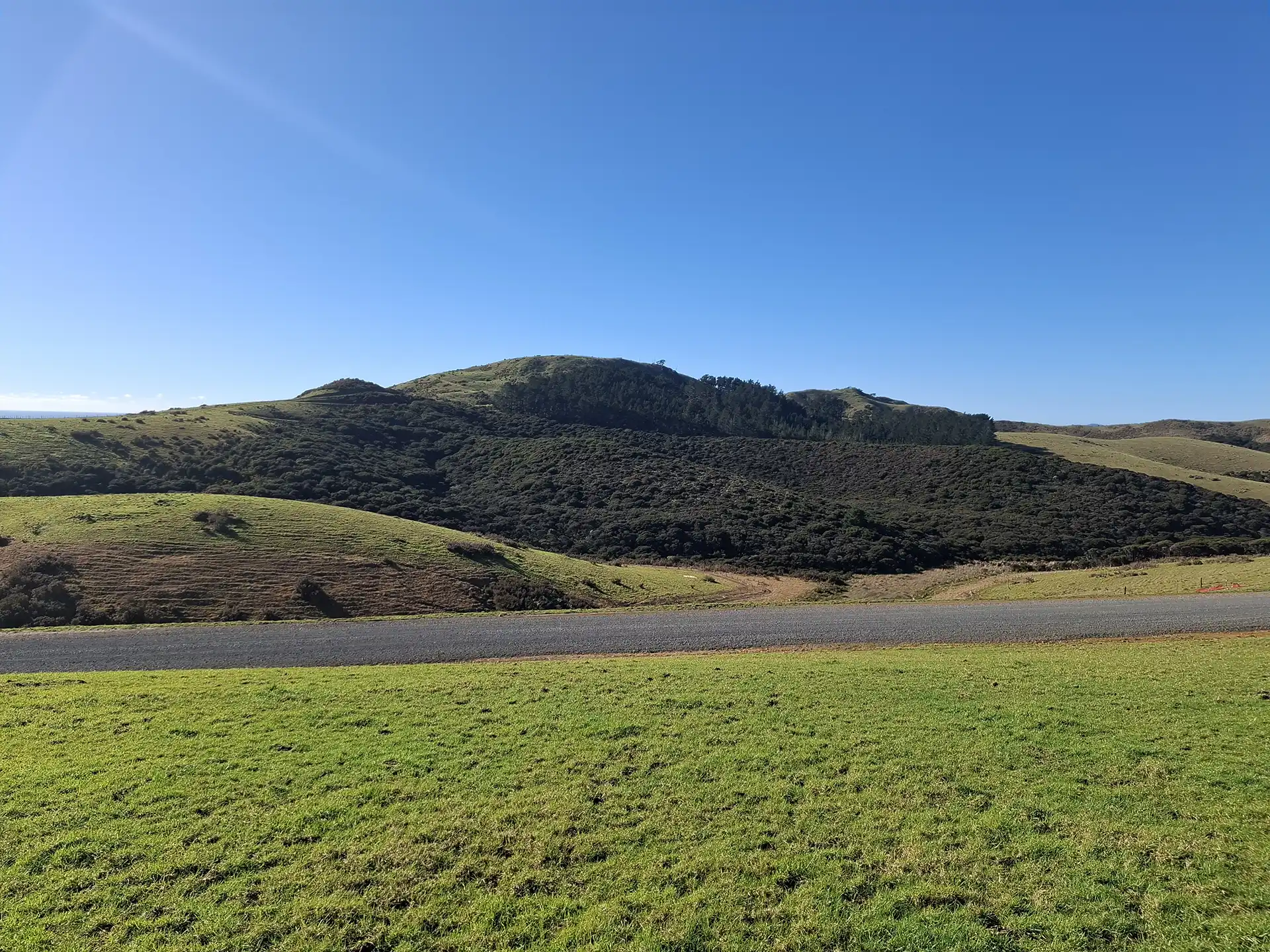 Wai Kōwhai Lot 13 -2