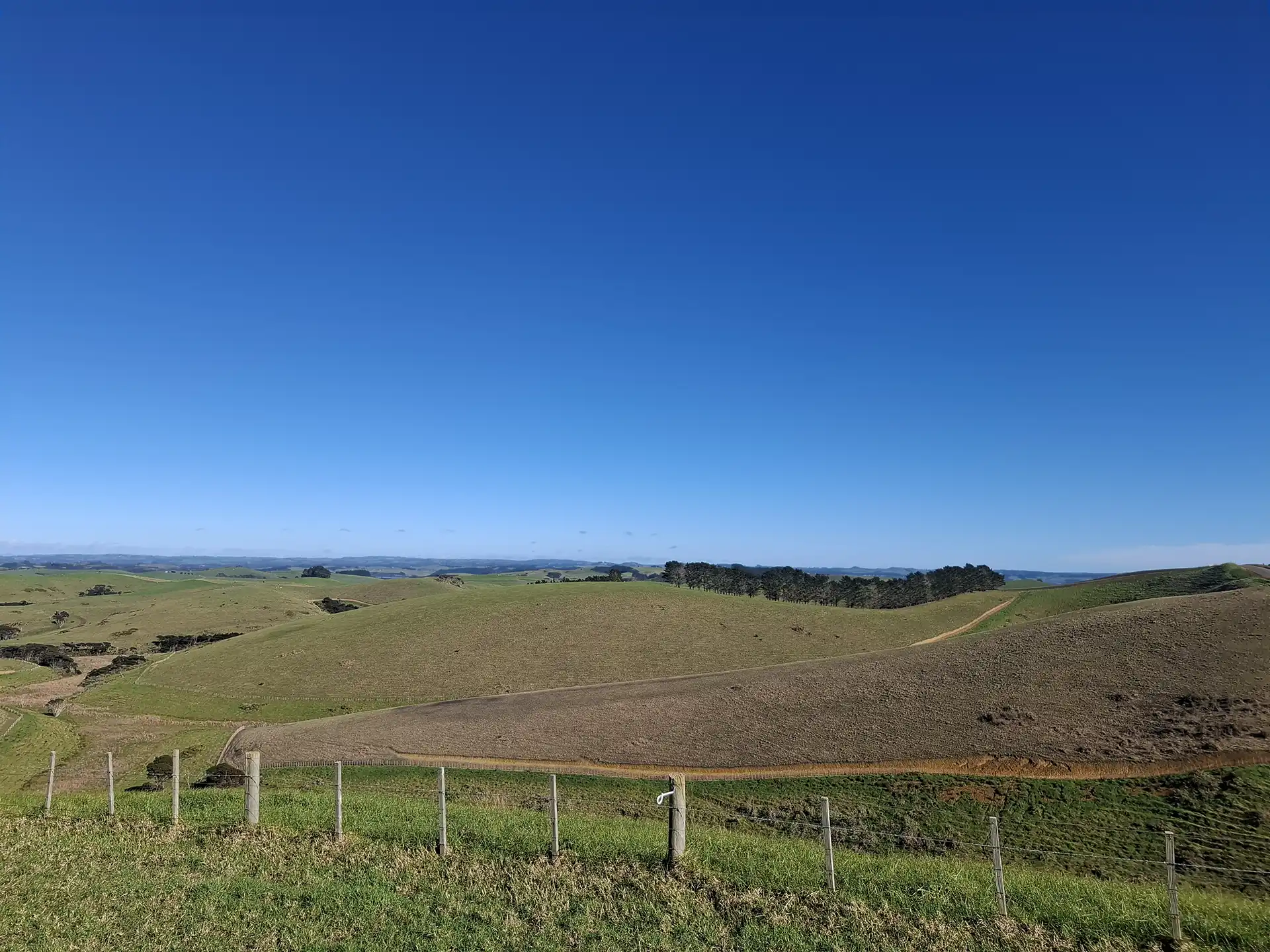 Wai Kōwhai Lot 13 -4