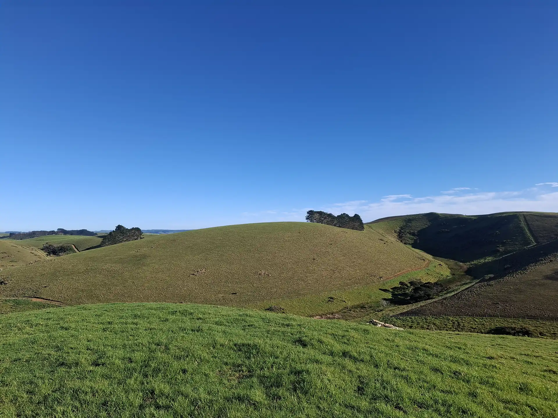 Wai Kōwhai Lot 14 -1