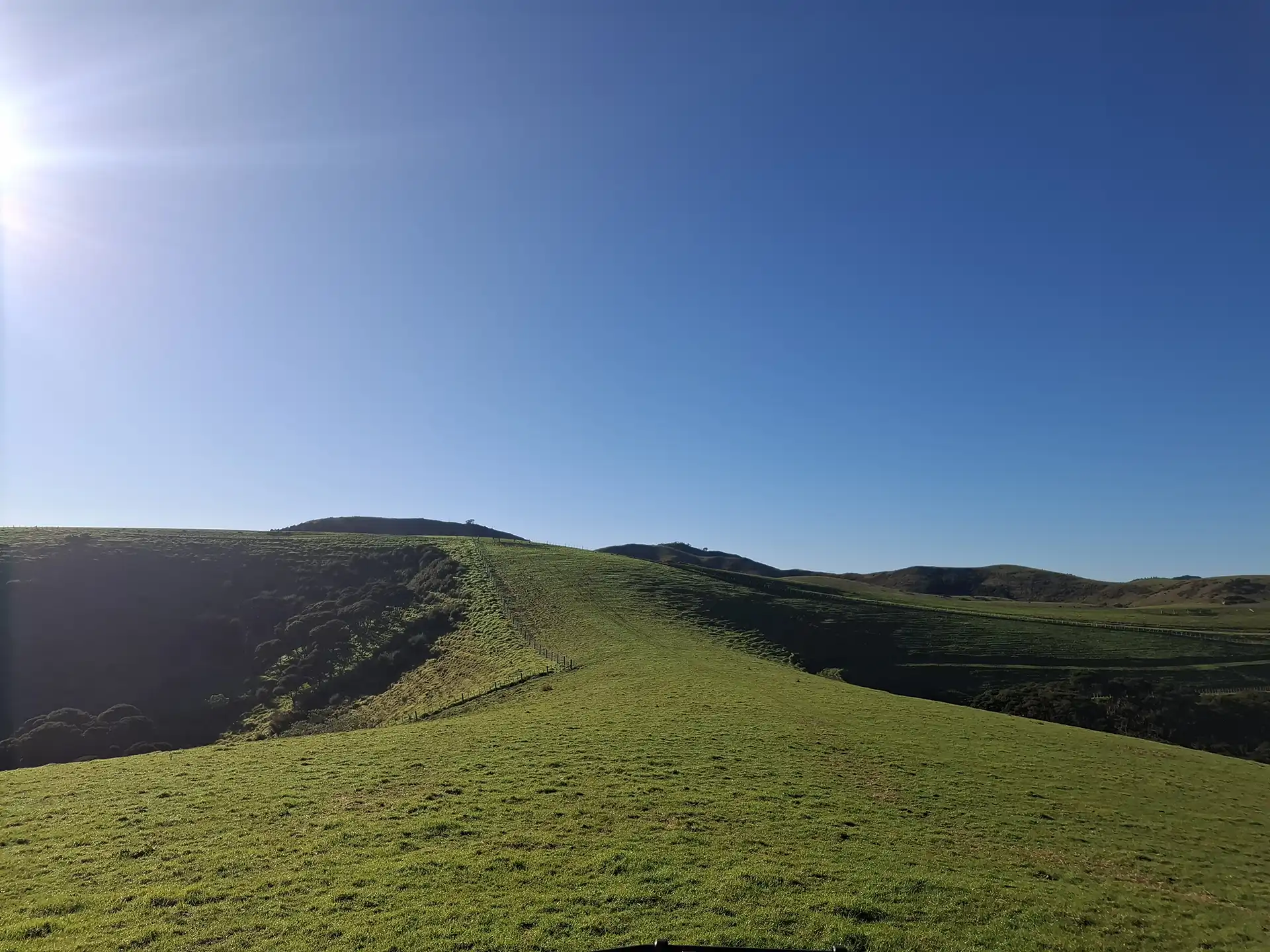 Wai Kōwhai Lot 14 -2