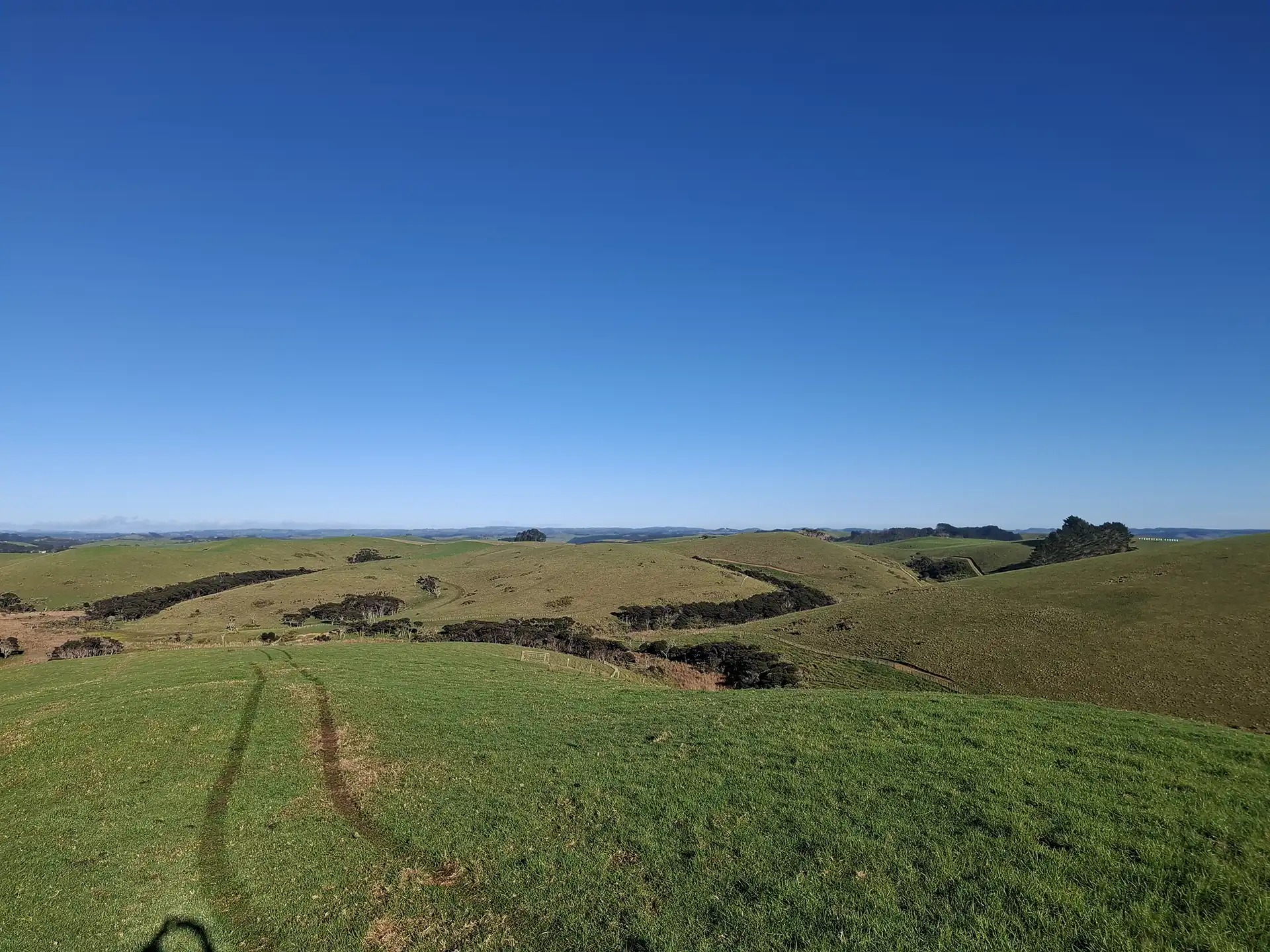 Wai Kōwhai Lot 14 -4