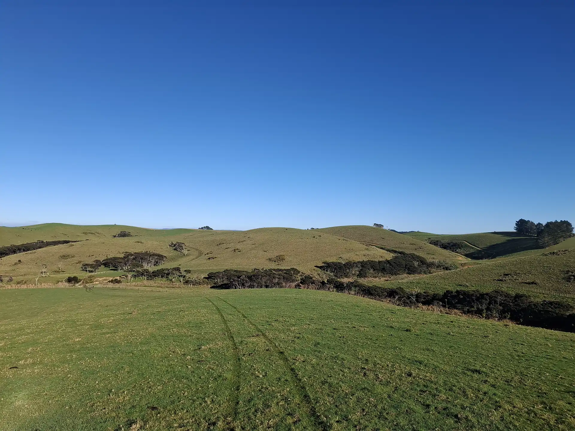 Wai Kōwhai Lot 15 -4