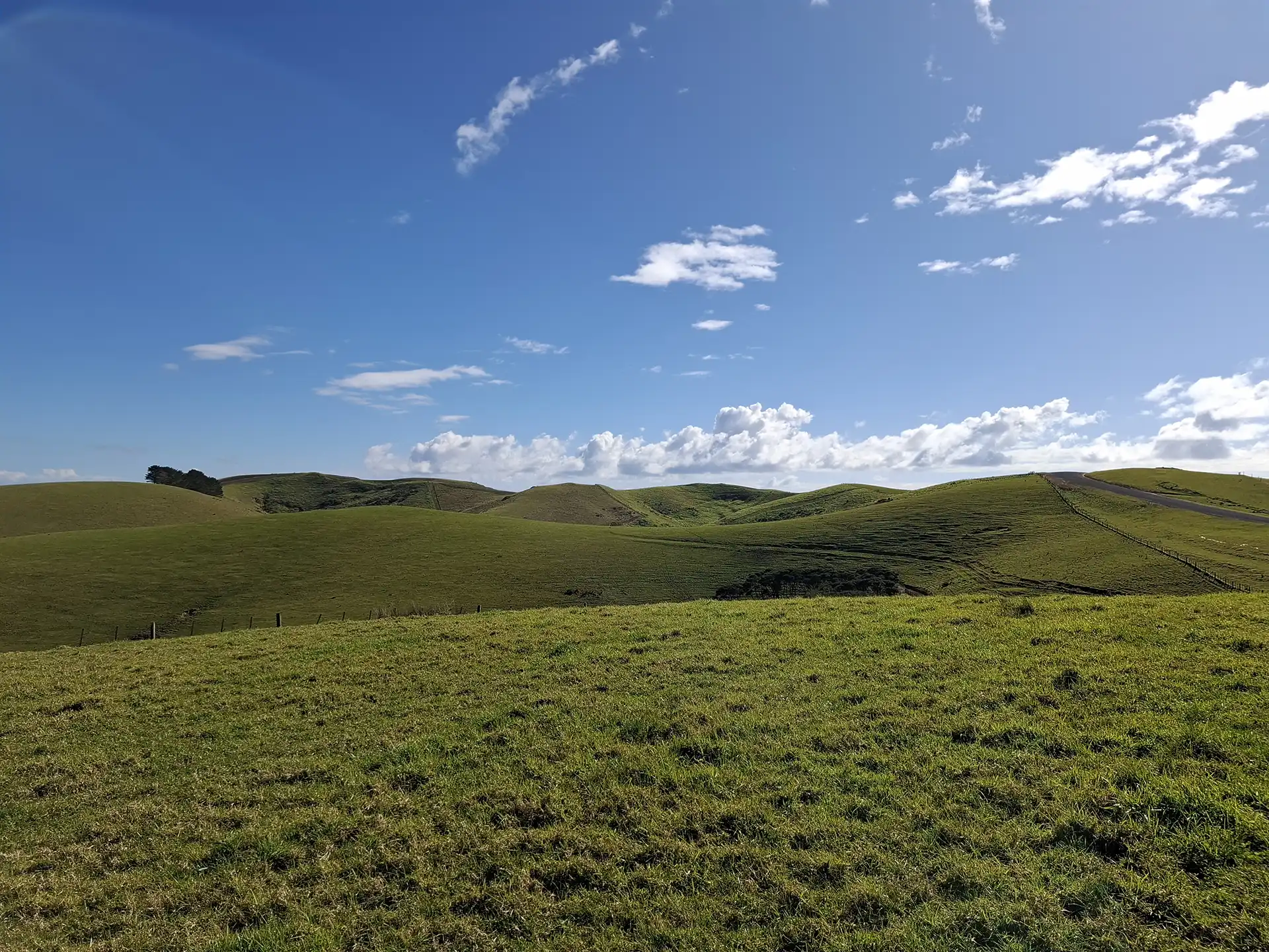 Wai Kōwhai Lot 16 -1