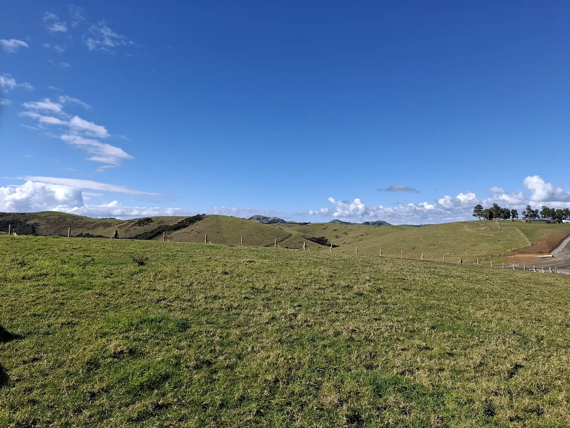 Wai Kōwhai Lot 16 -2