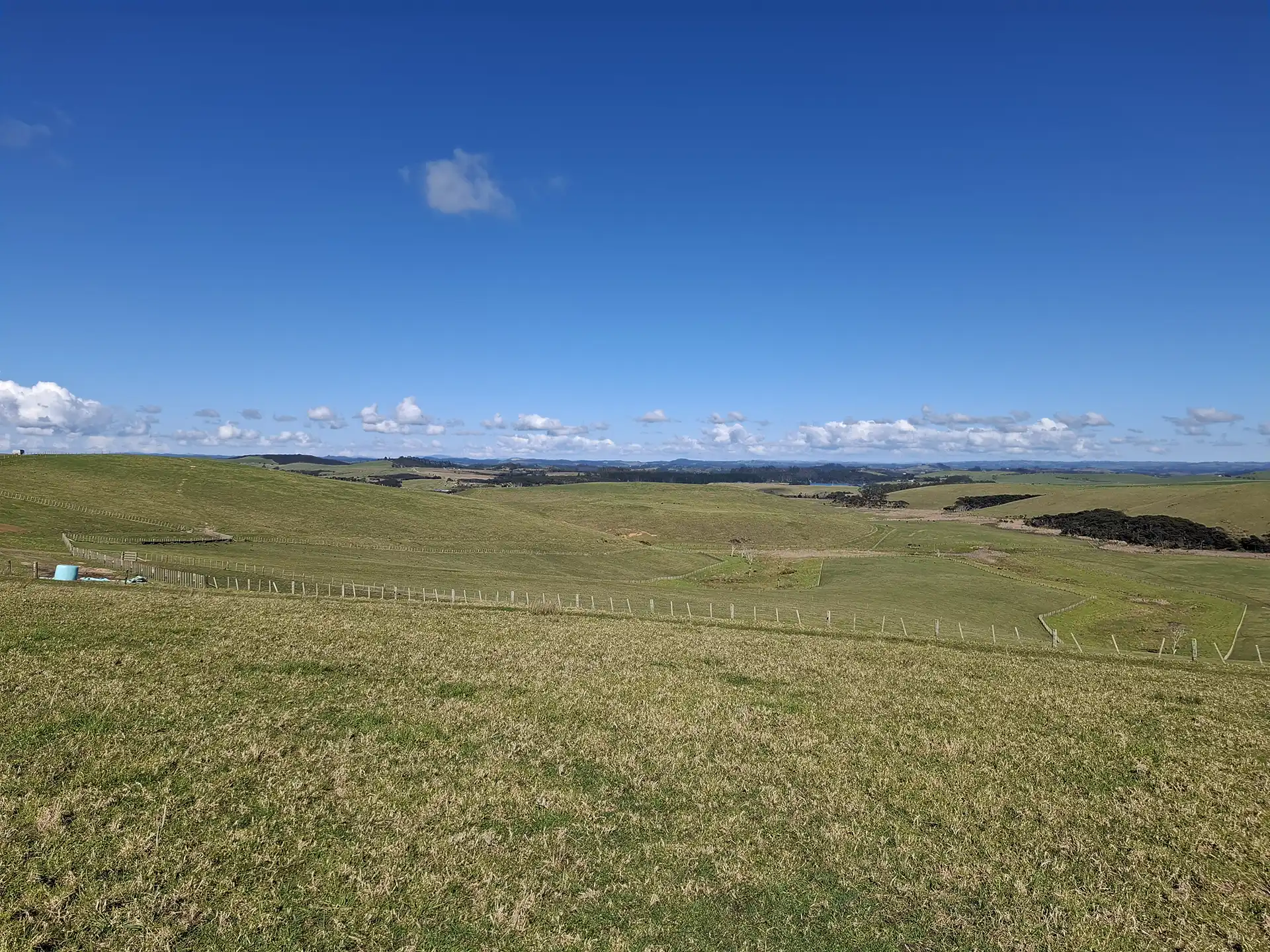 Wai Kōwhai Lot 16 -3