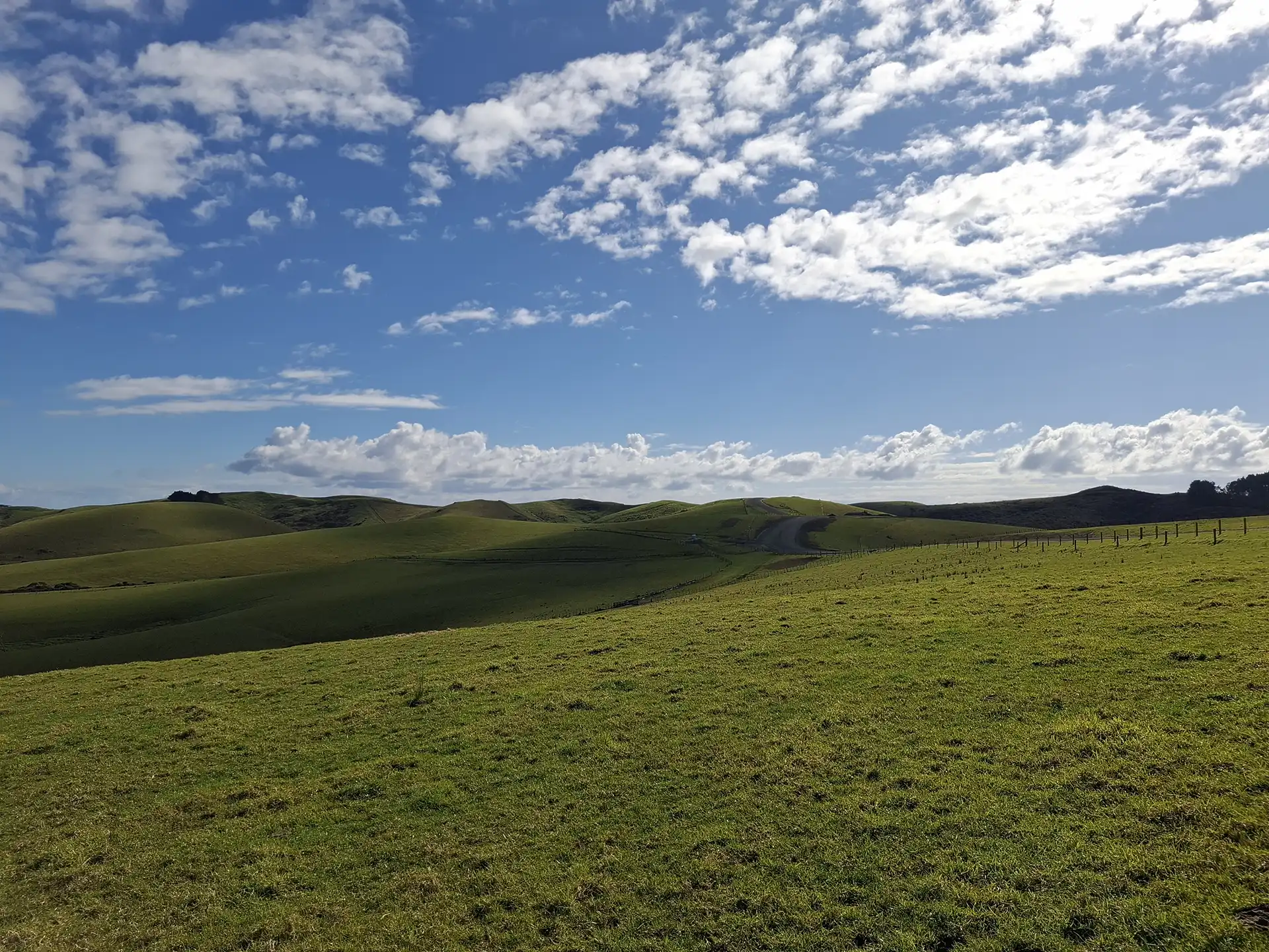 Wai Kōwhai Lot 18 -1