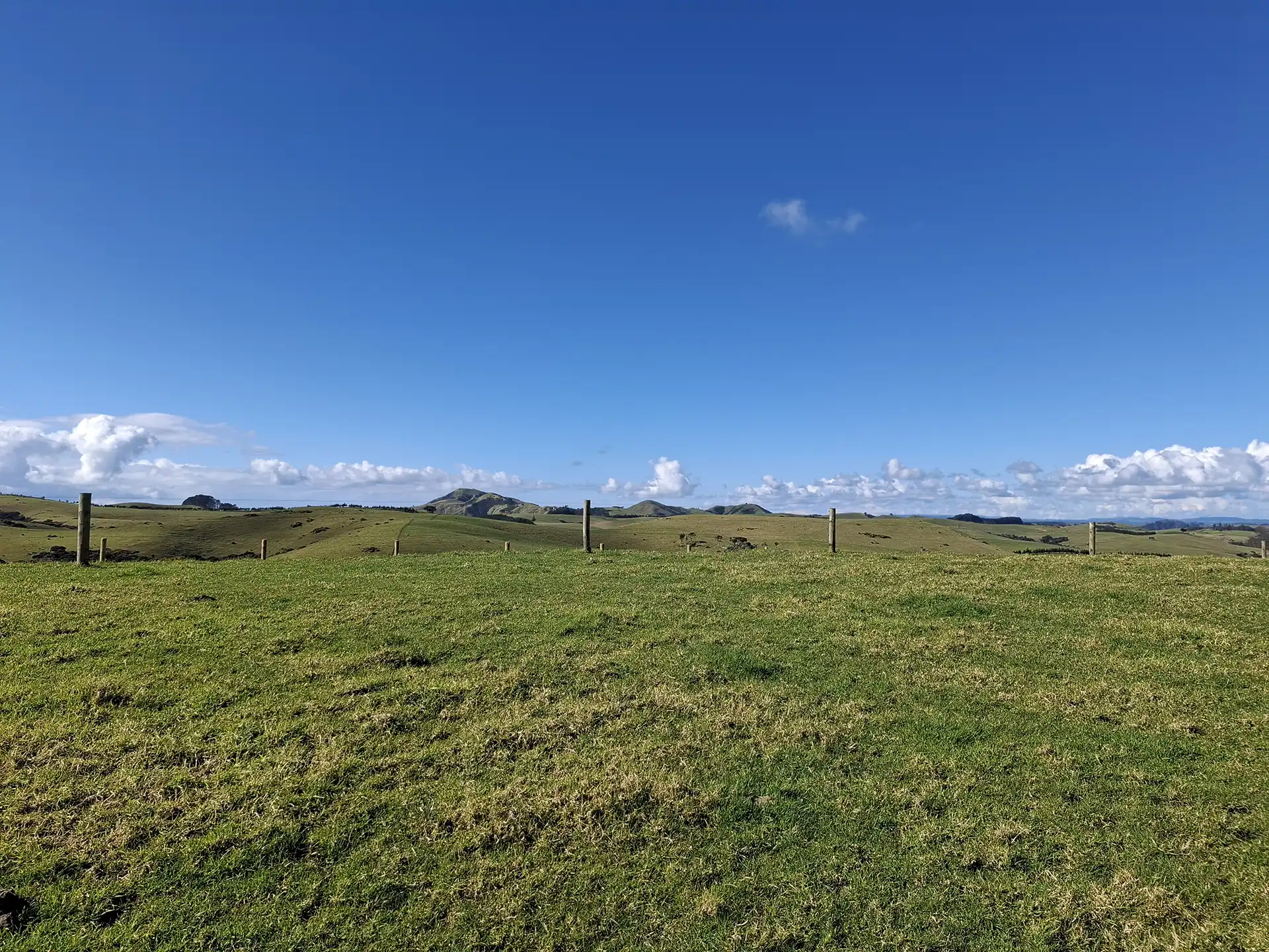 Wai Kōwhai Lot 18 -2