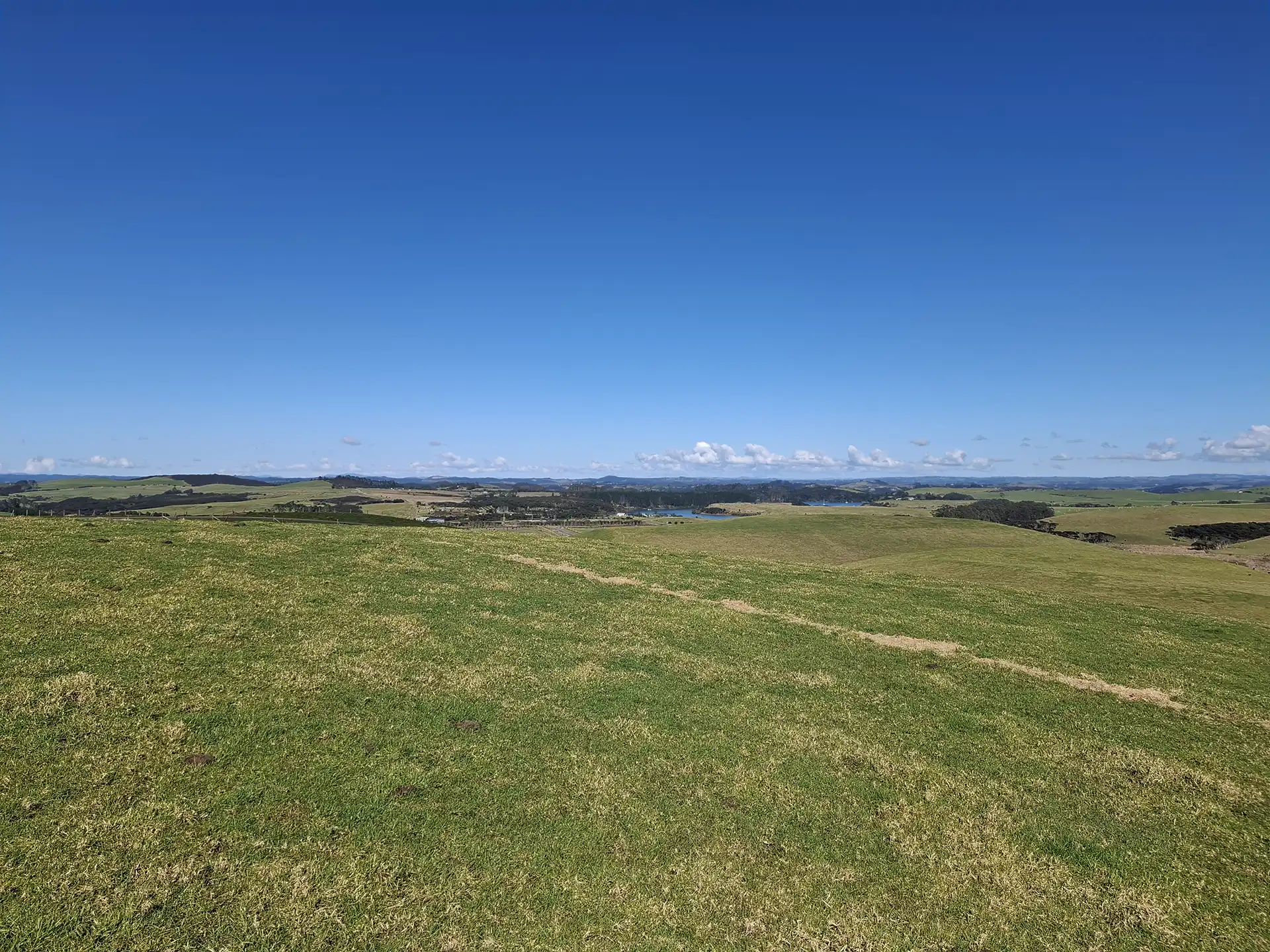 Wai Kōwhai Lot 18 -3