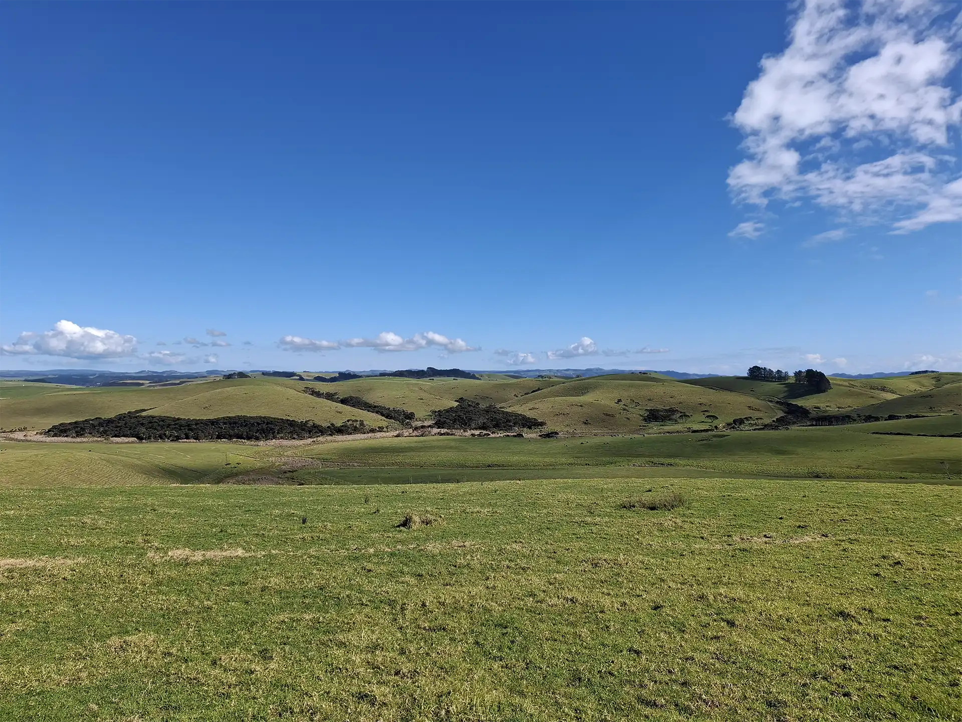 Wai Kōwhai Lot 18 -4