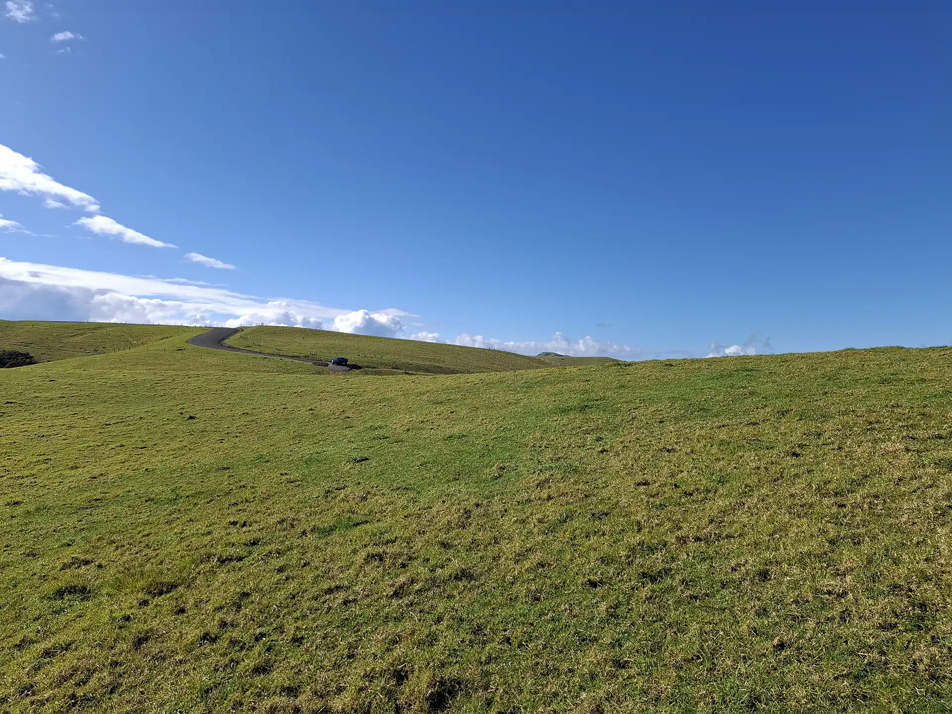 Wai Kōwhai Lot 20 -2