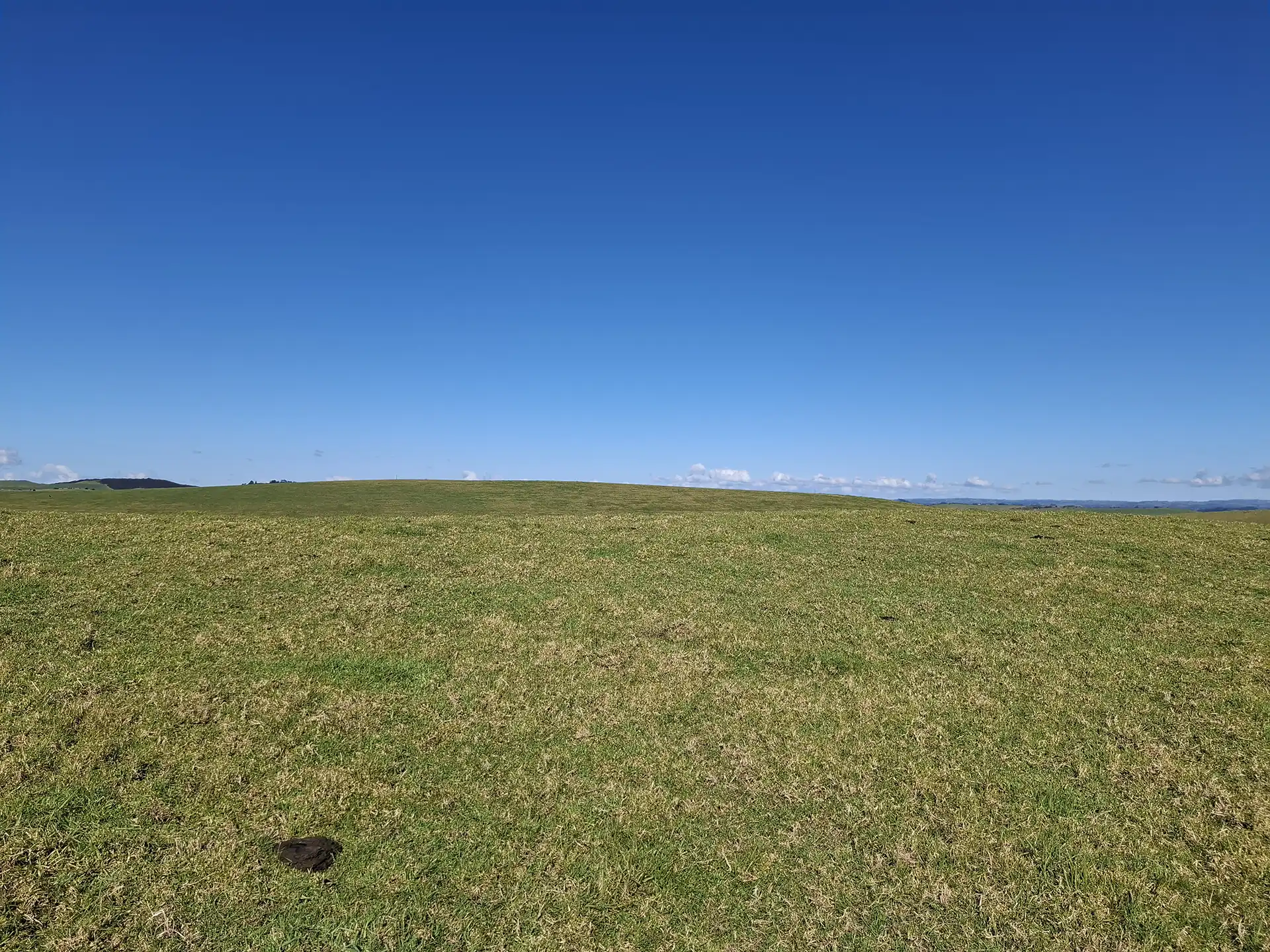 Wai Kōwhai Lot 20 -4