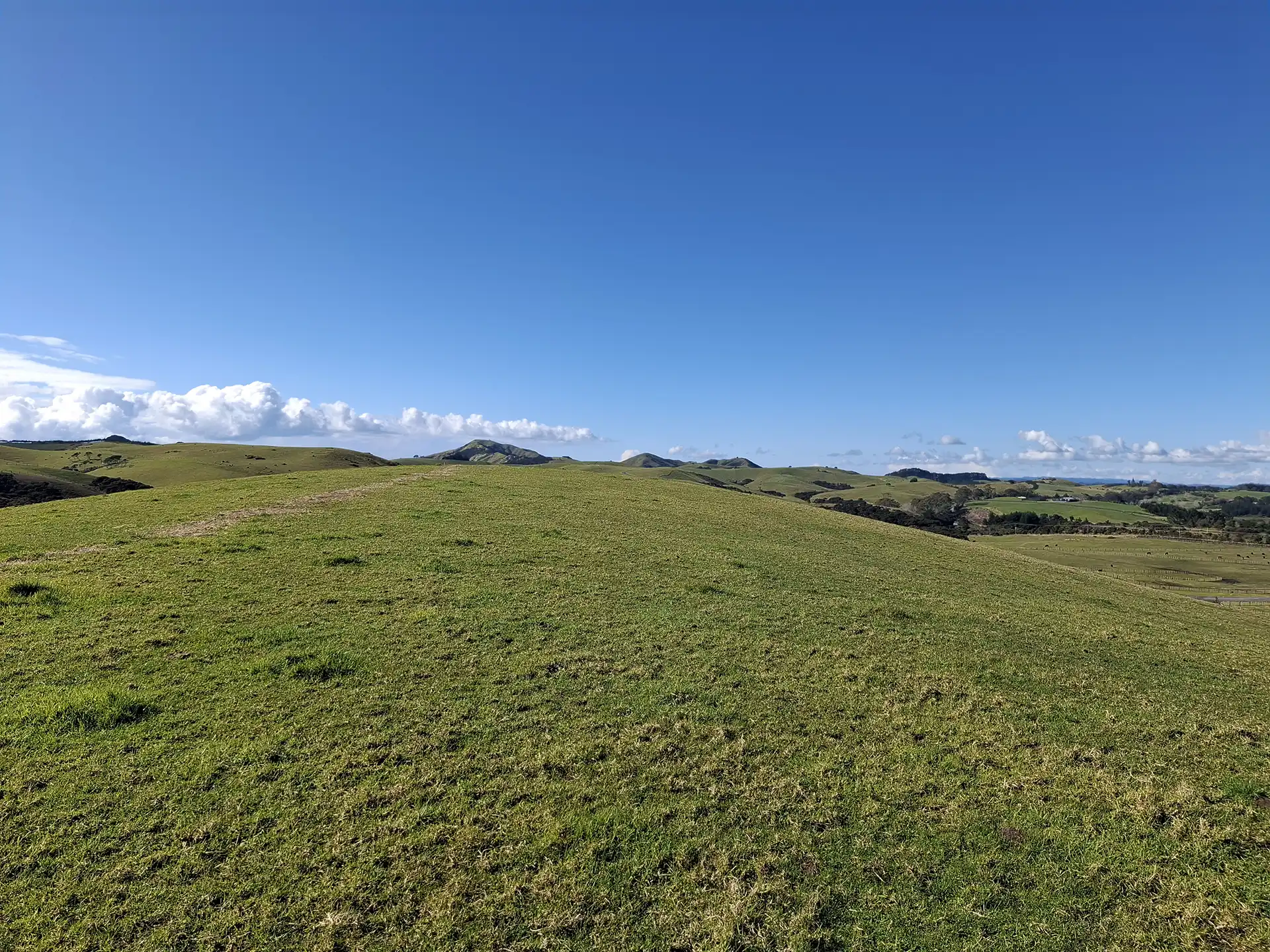 Wai Kōwhai Lot 21 -2