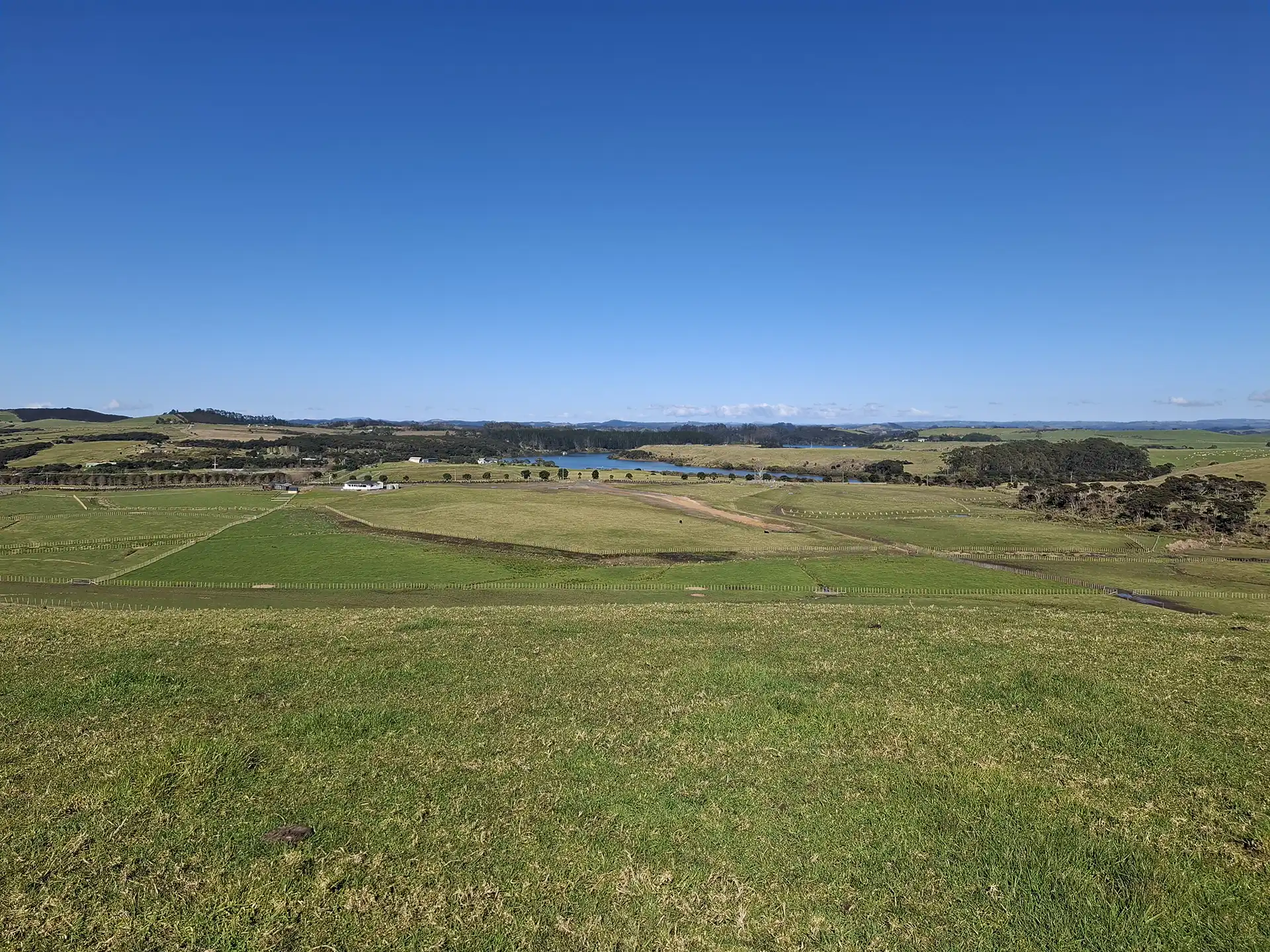 Wai Kōwhai Lot 21 -3