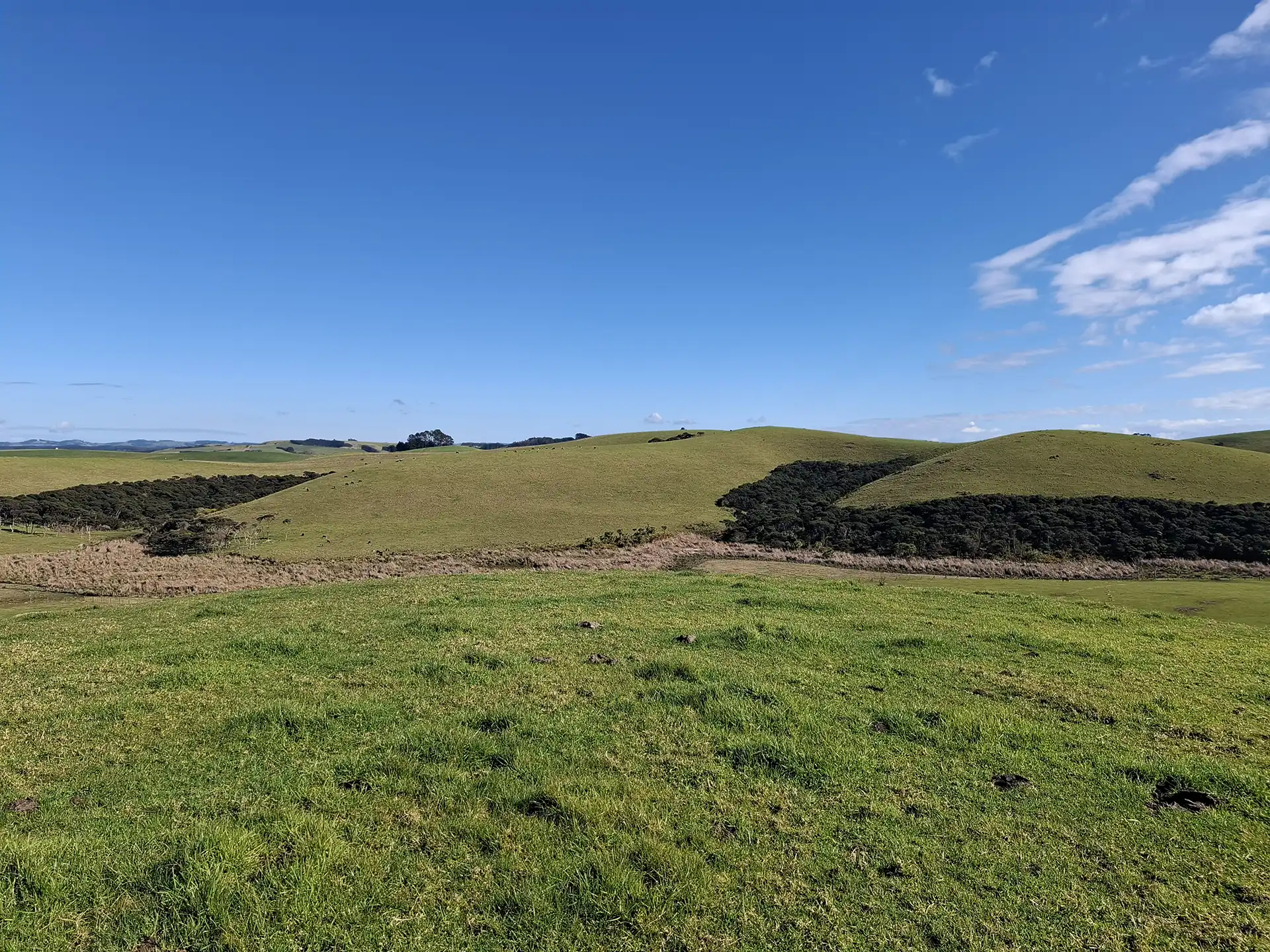 Wai Kōwhai Lot 21 -4