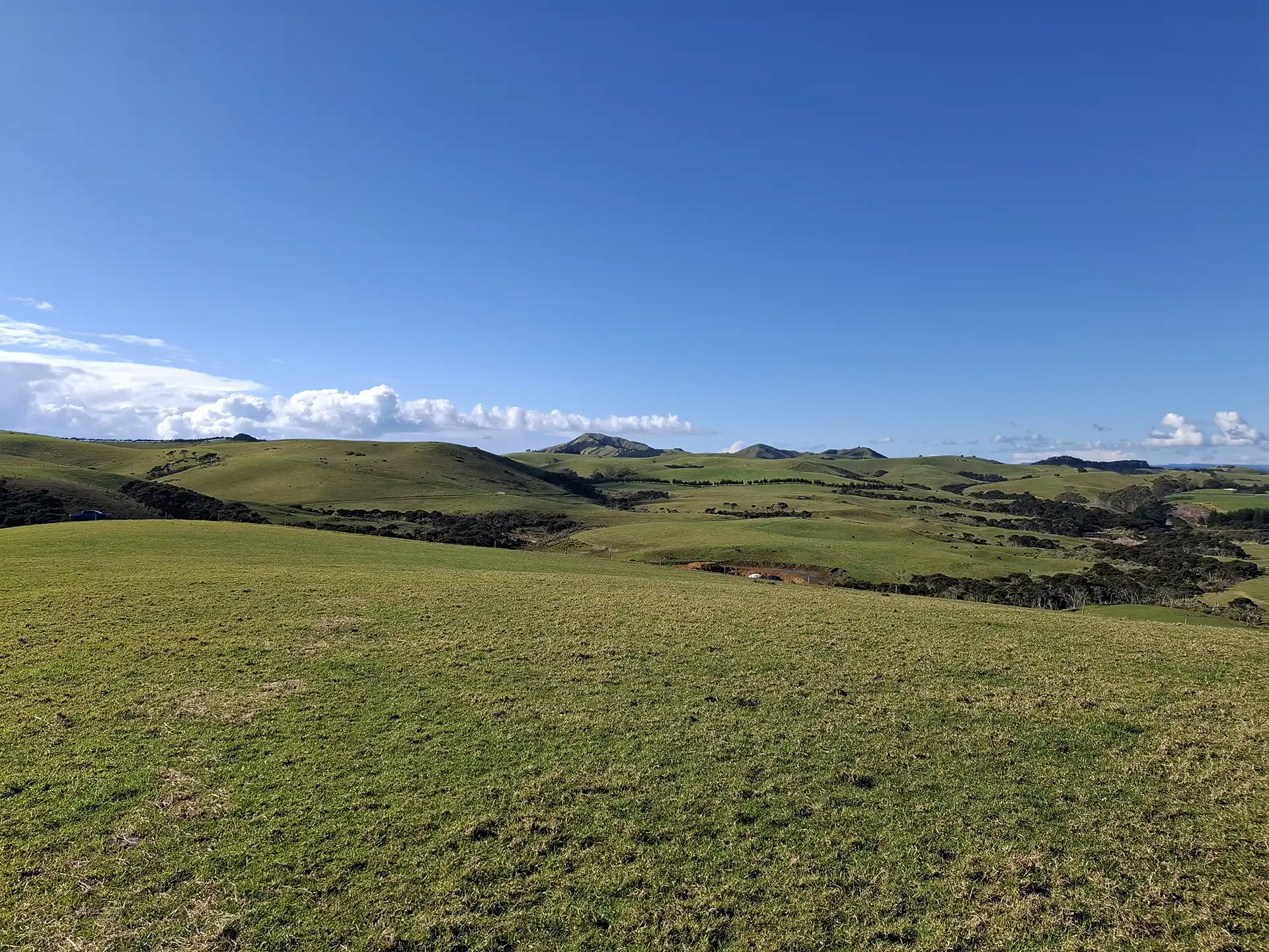 Wai Kōwhai Lot 22 -2