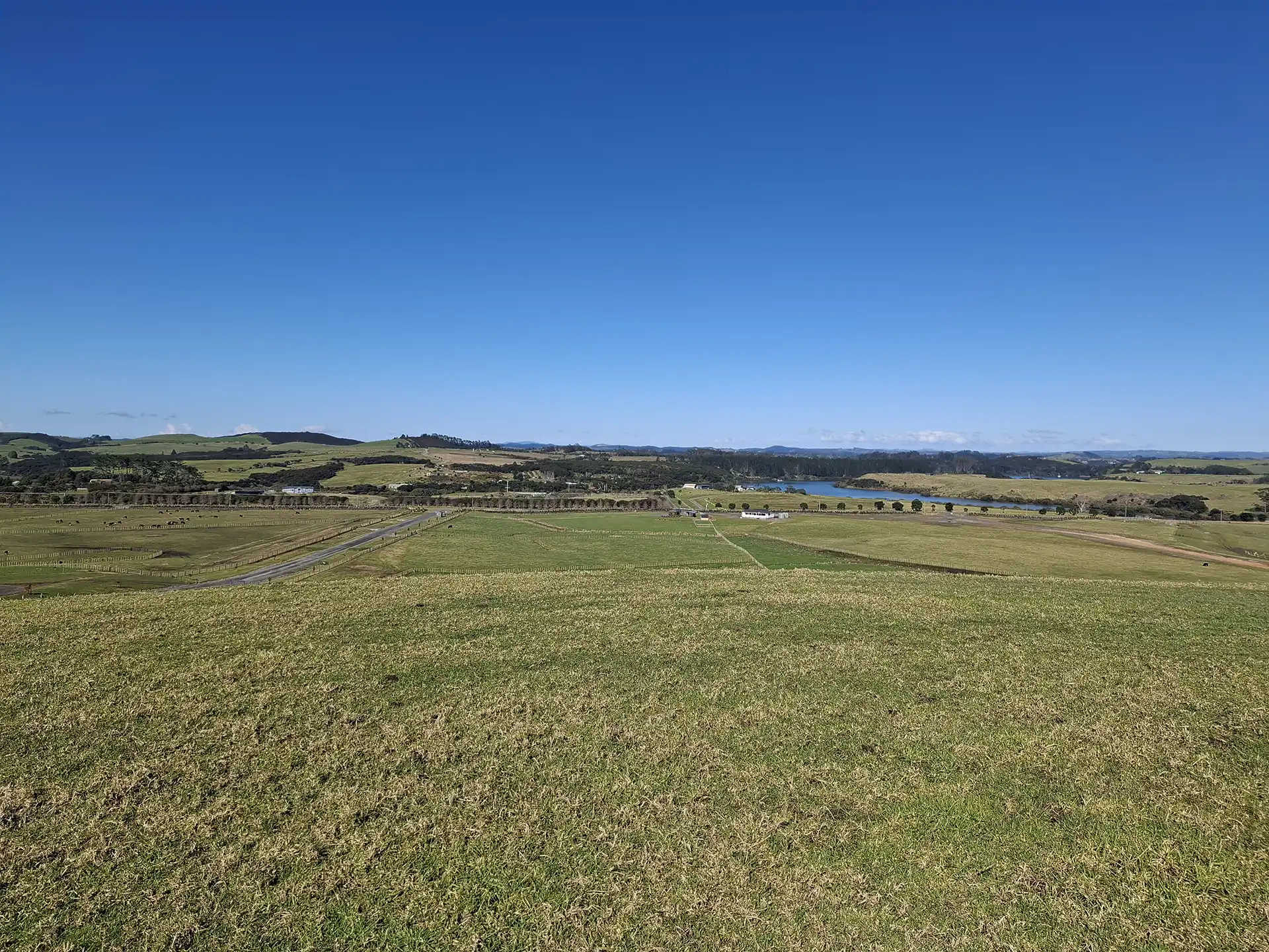 Wai Kōwhai Lot 22 -3