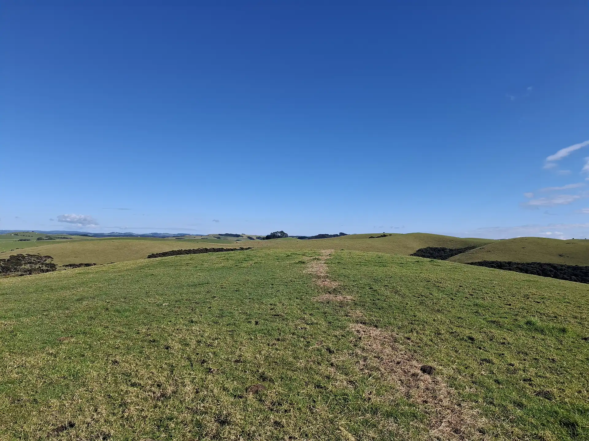 Wai Kōwhai Lot 22 -4