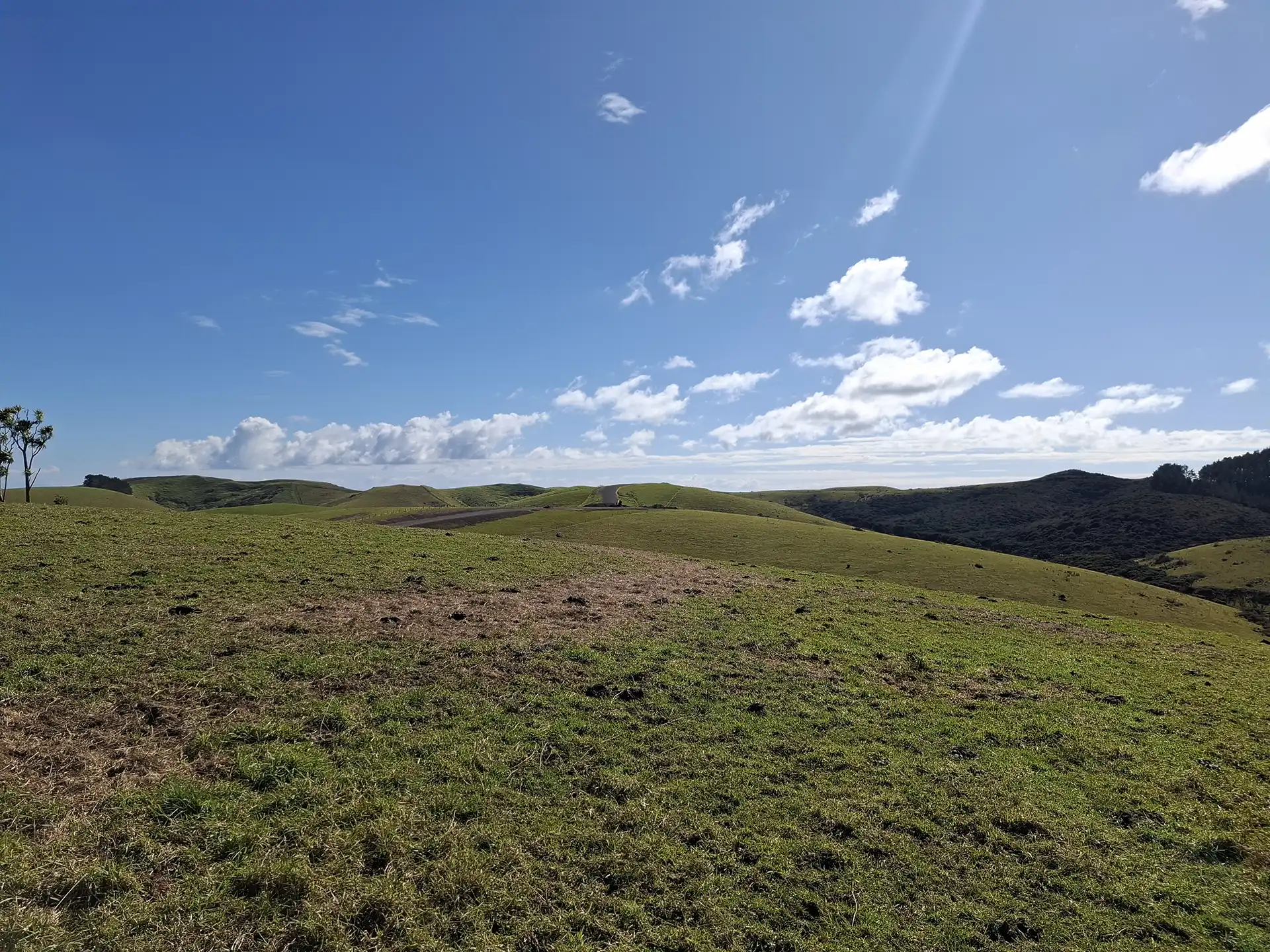 Wai Kōwhai Lot 25 -1