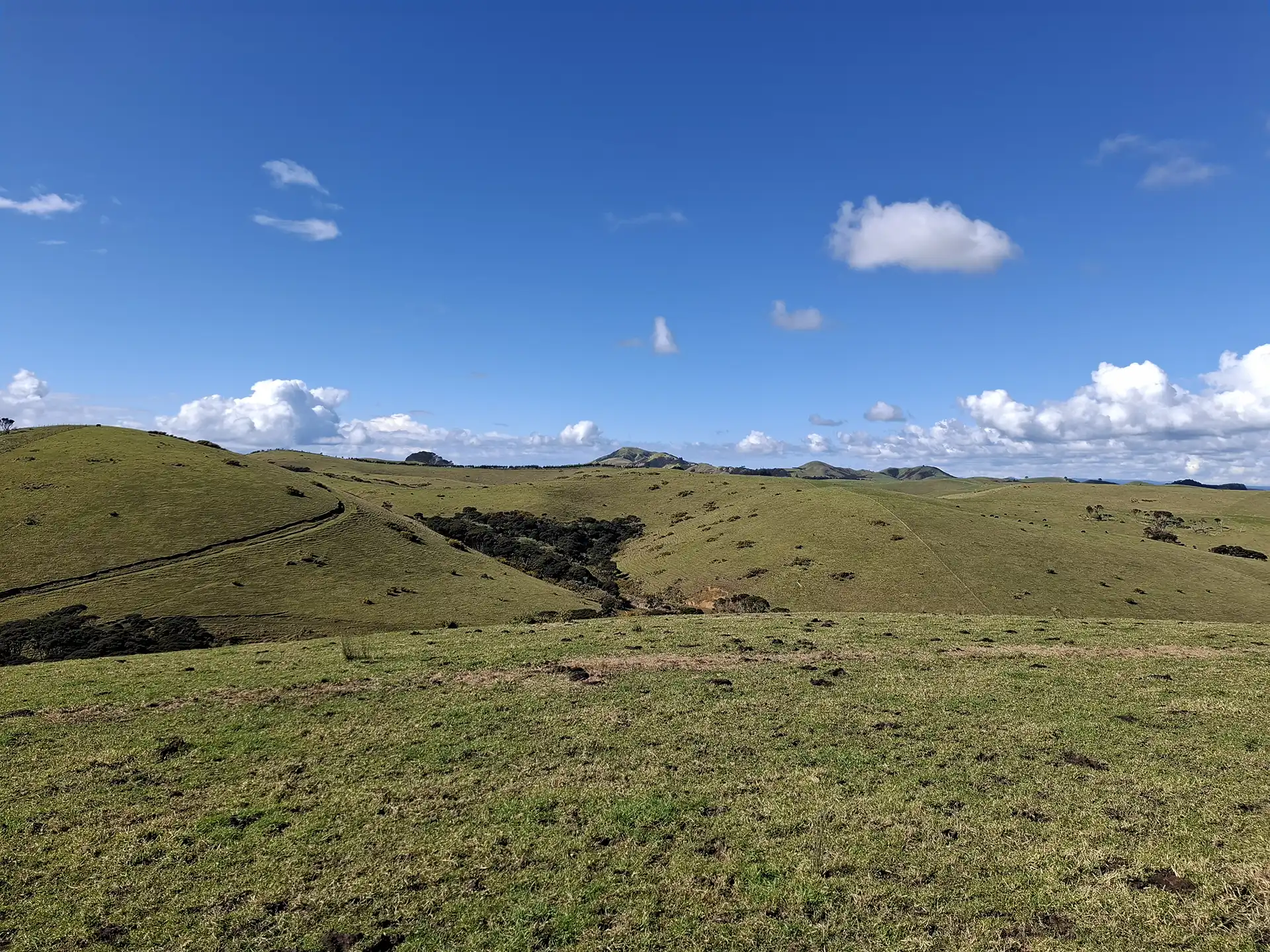 Wai Kōwhai Lot 25 -2