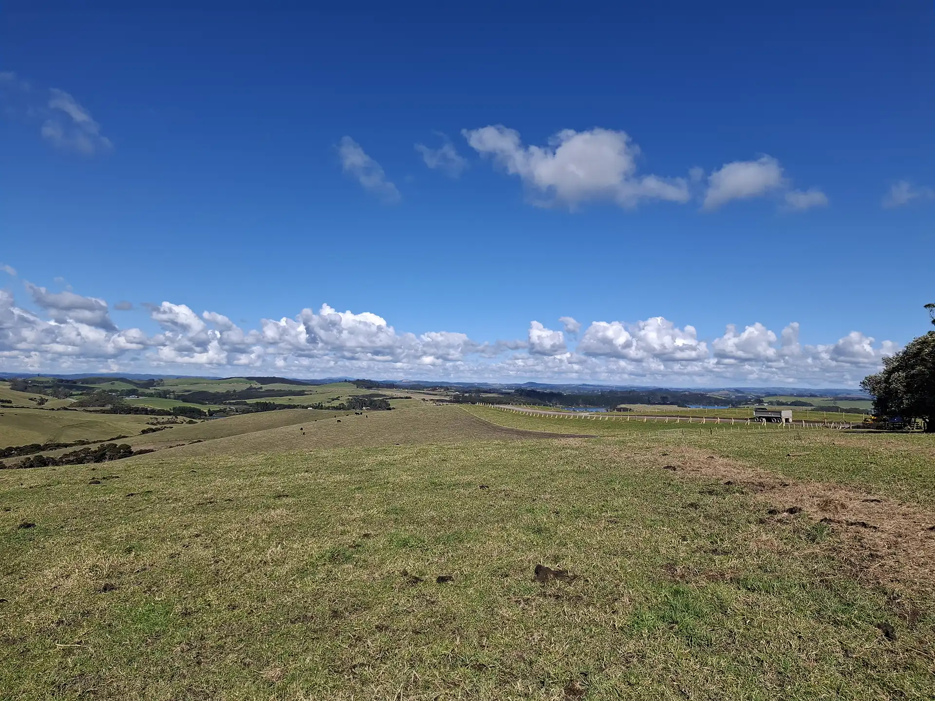 Wai Kōwhai Lot 25 -3