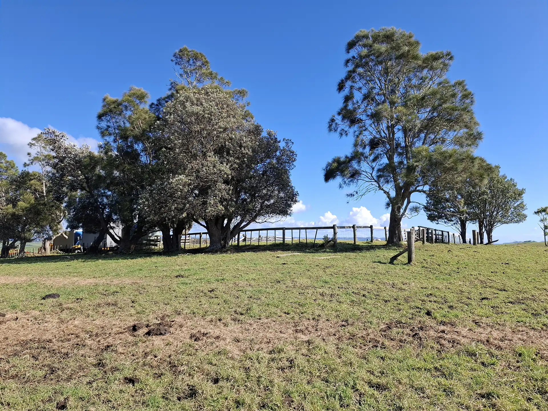 Wai Kōwhai Lot 25 -4