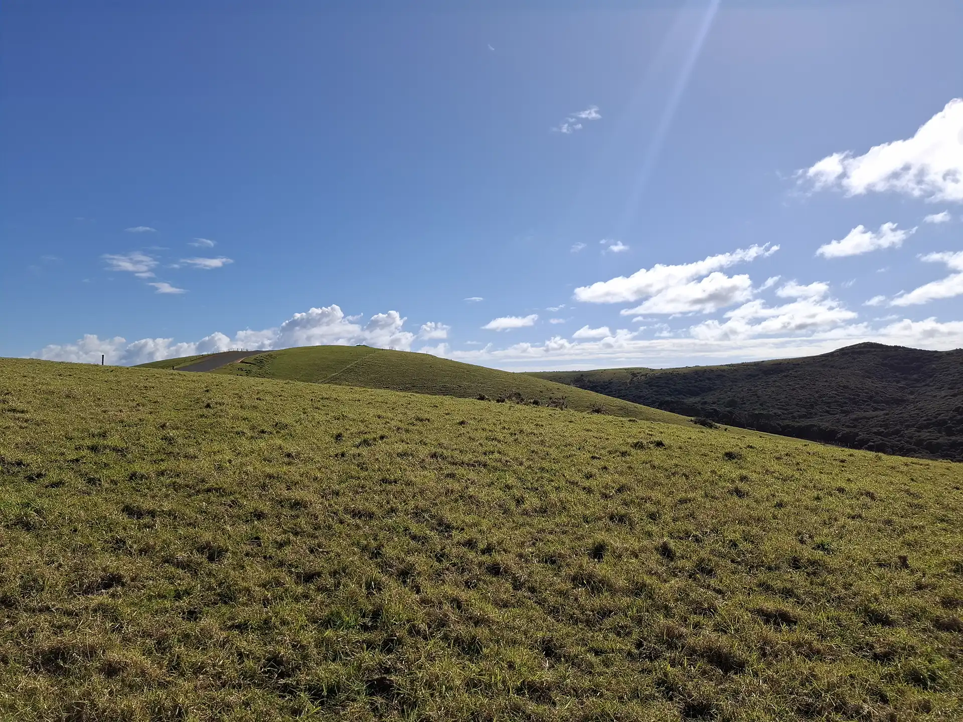 Wai Kōwhai Lot 26 -1