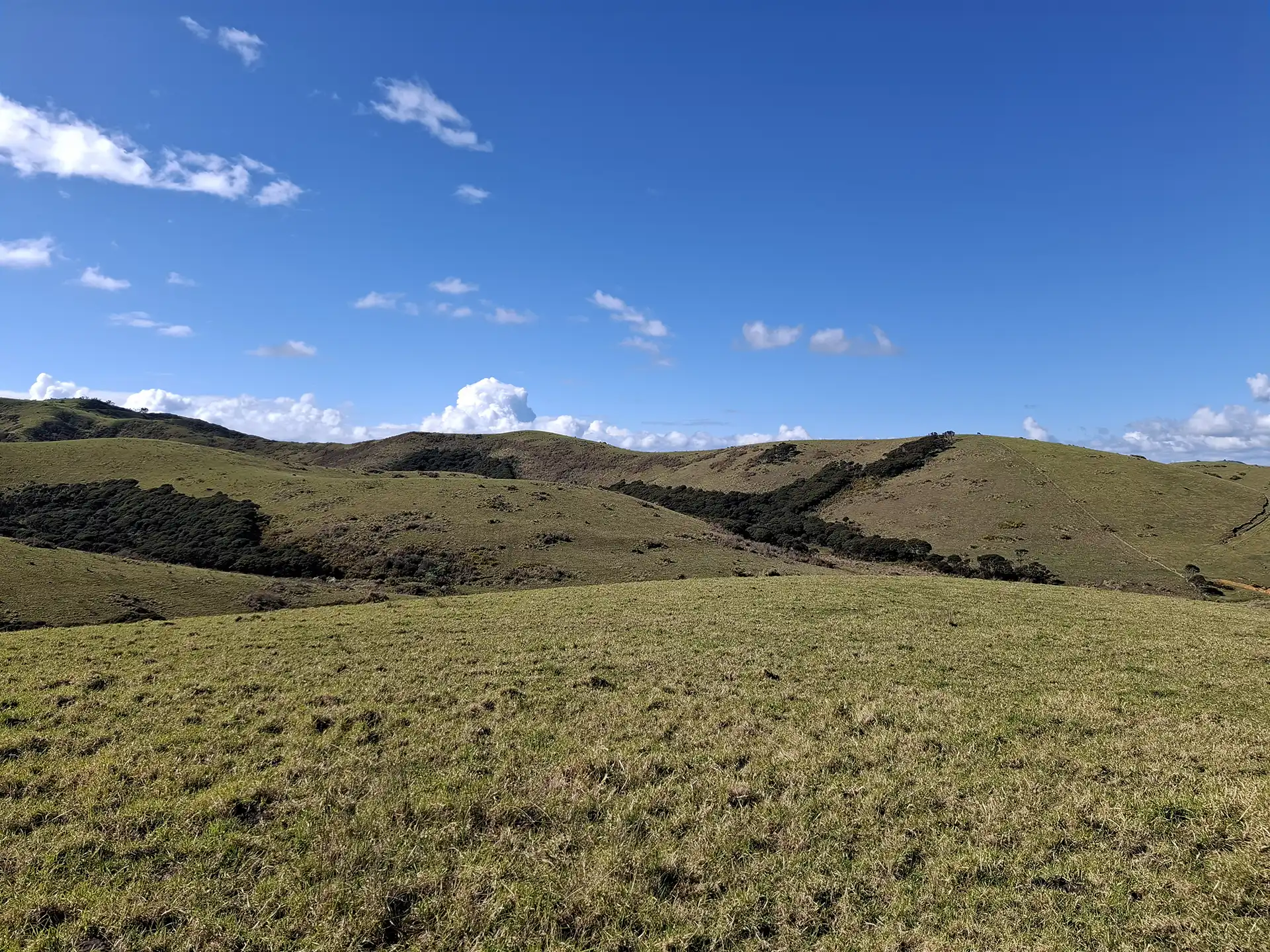 Wai Kōwhai Lot 26 -2