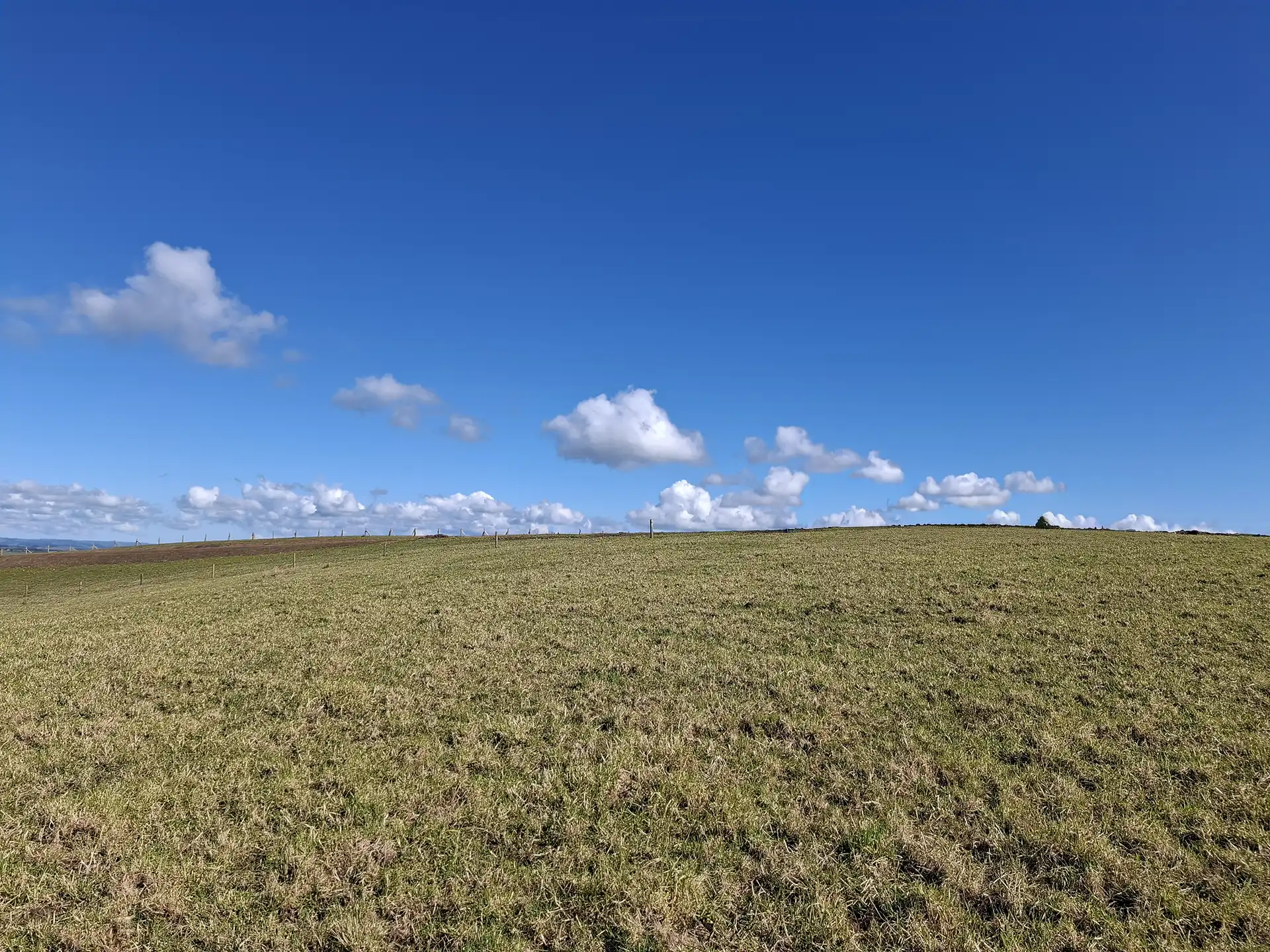 Wai Kōwhai Lot 26 -4