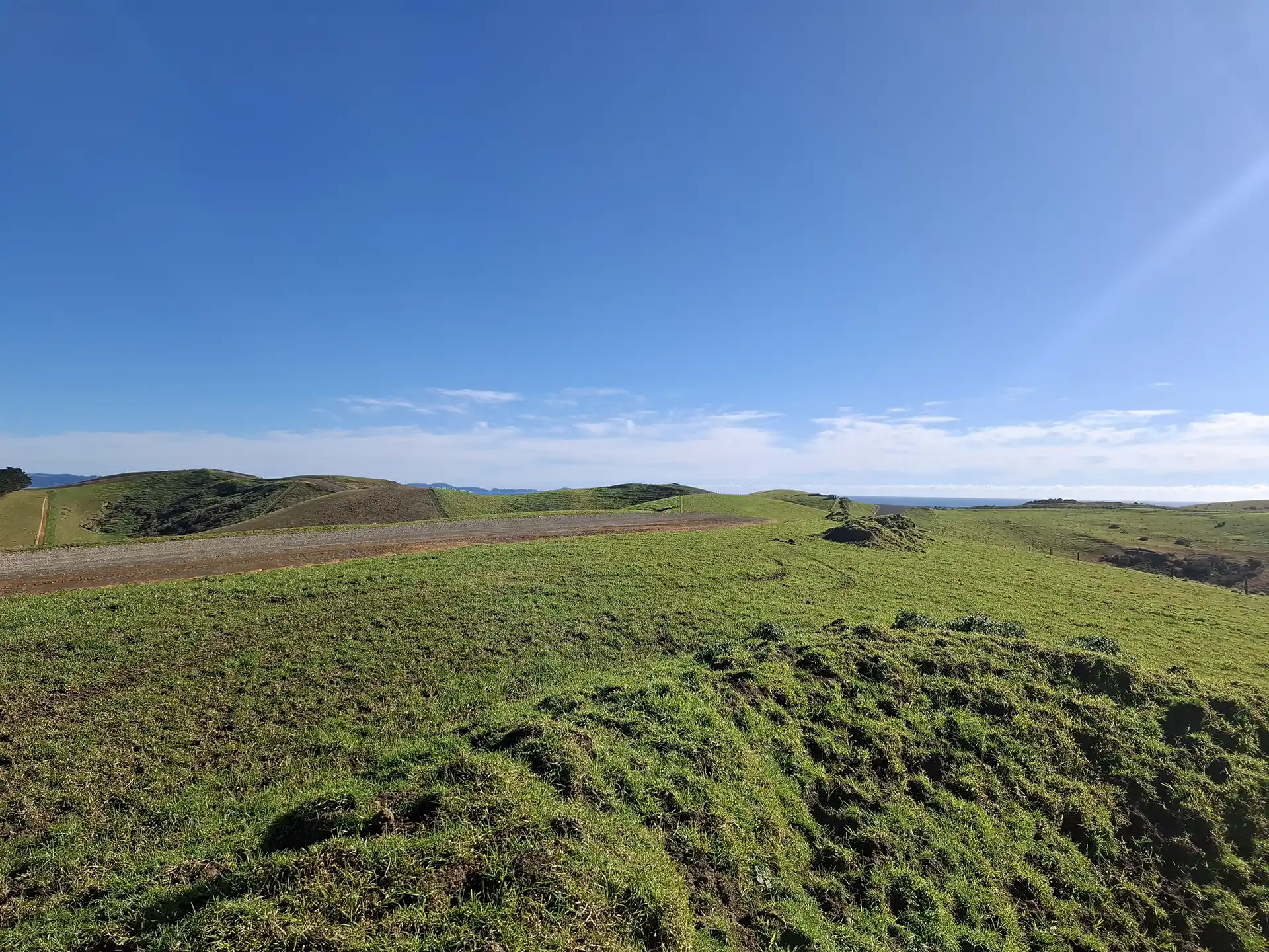 Wai Kōwhai Lot 27 -1