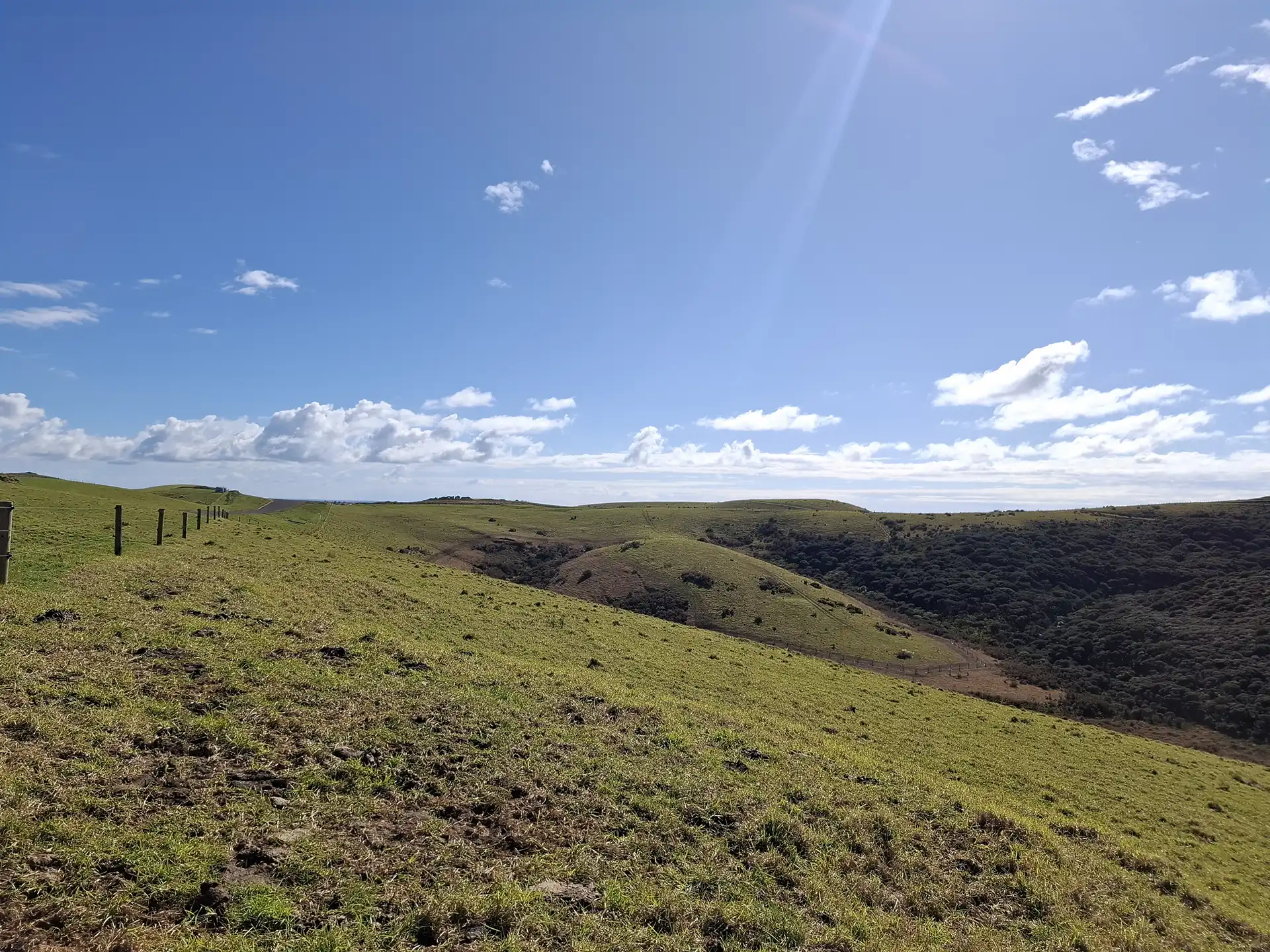 Wai Kōwhai Lot 27 -5