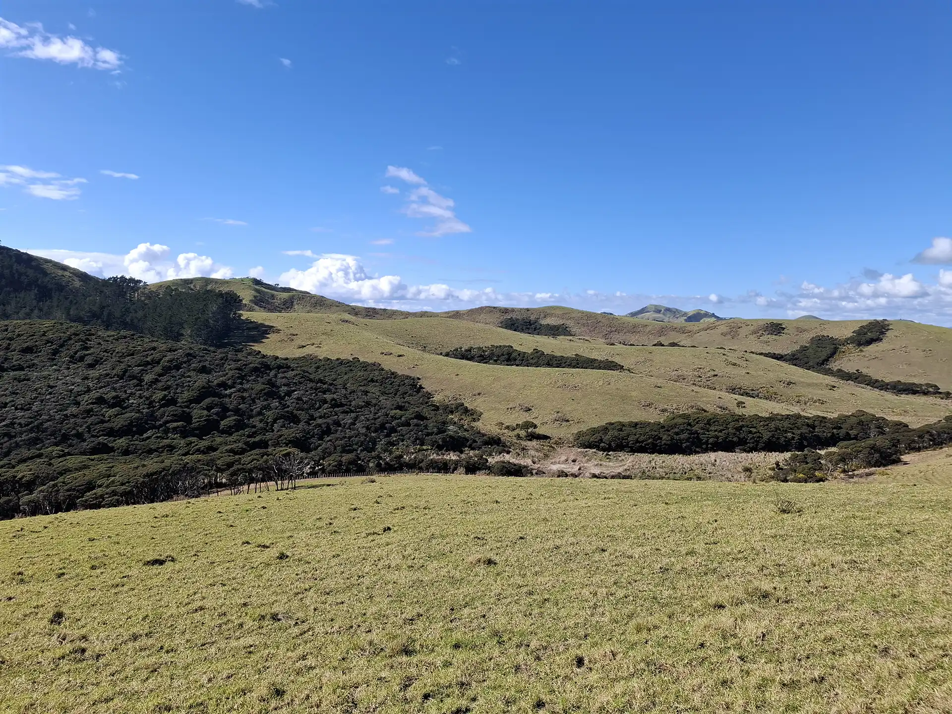 Wai Kōwhai Lot 27 -6