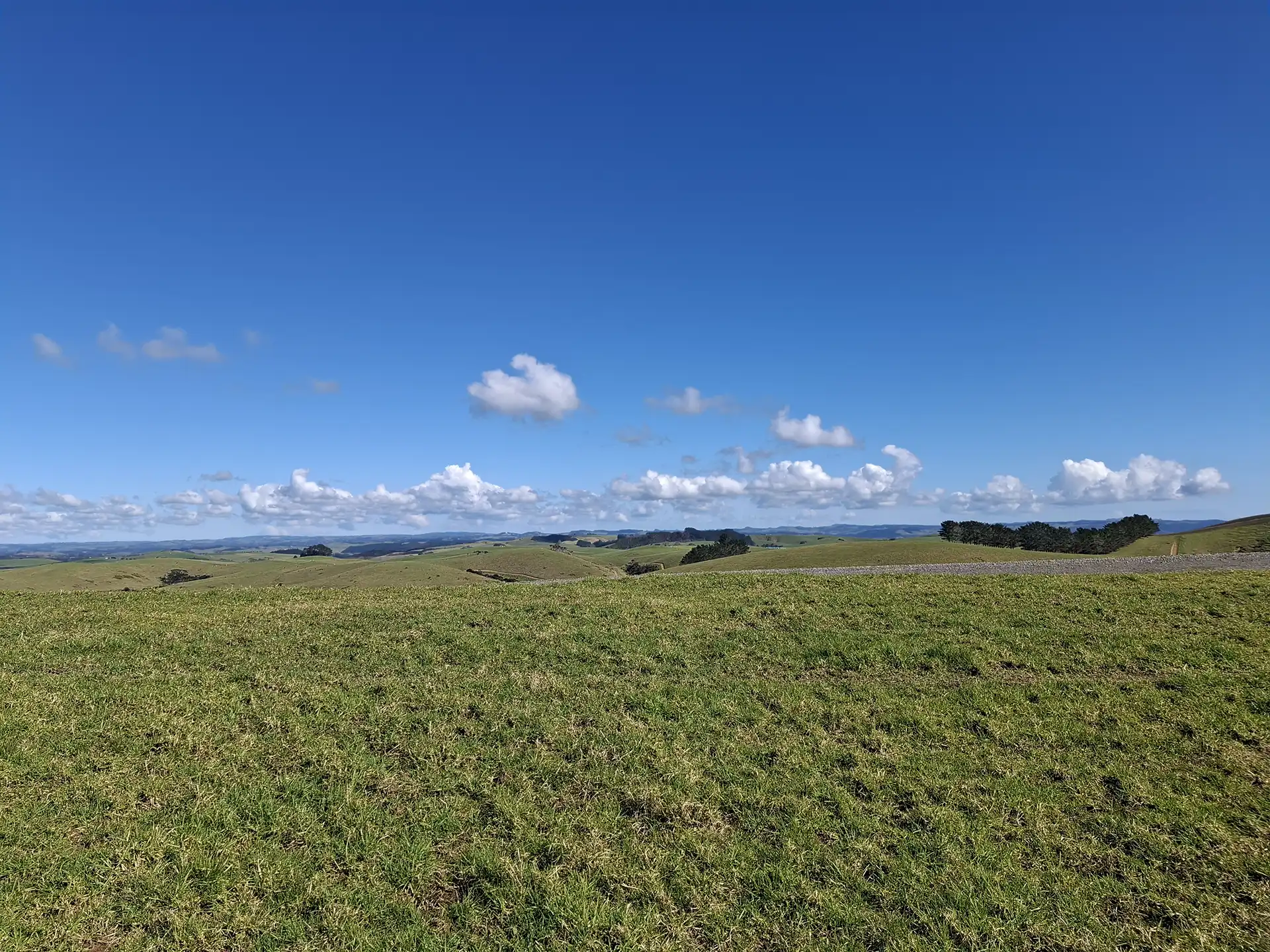 Wai Kōwhai Lot 27 -8