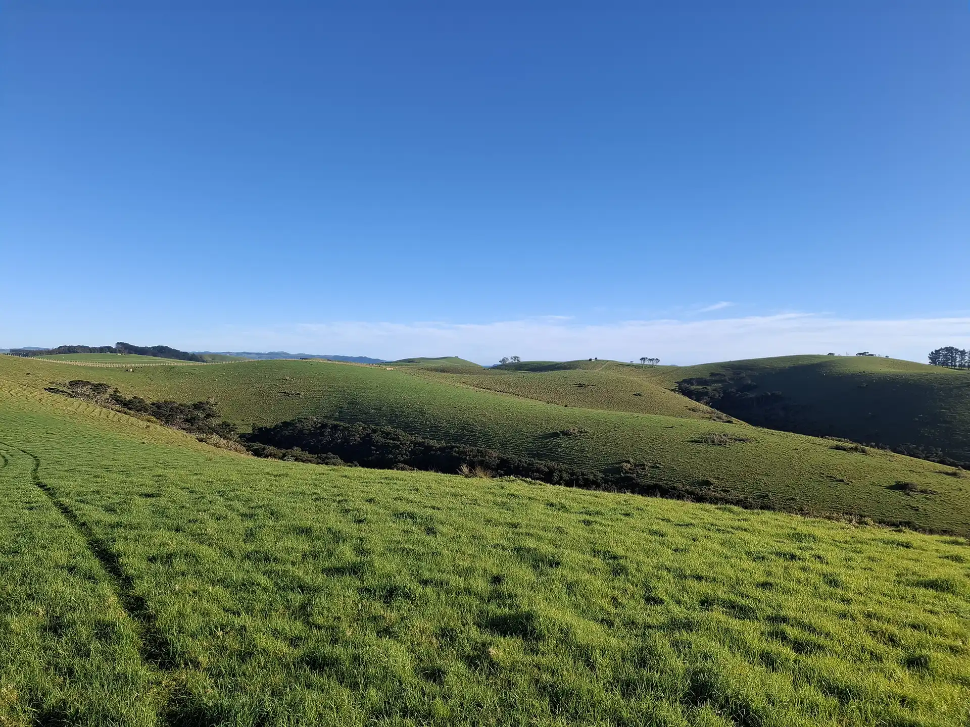 Wai Kōwhai Lot 3 -1