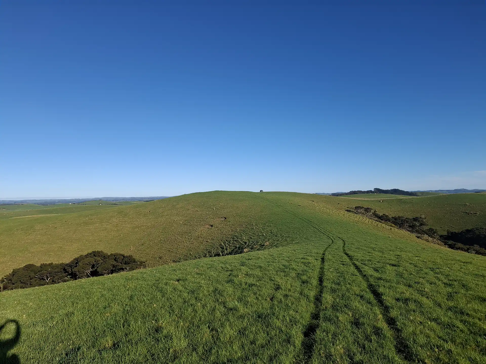 Wai Kōwhai Lot 3 -4