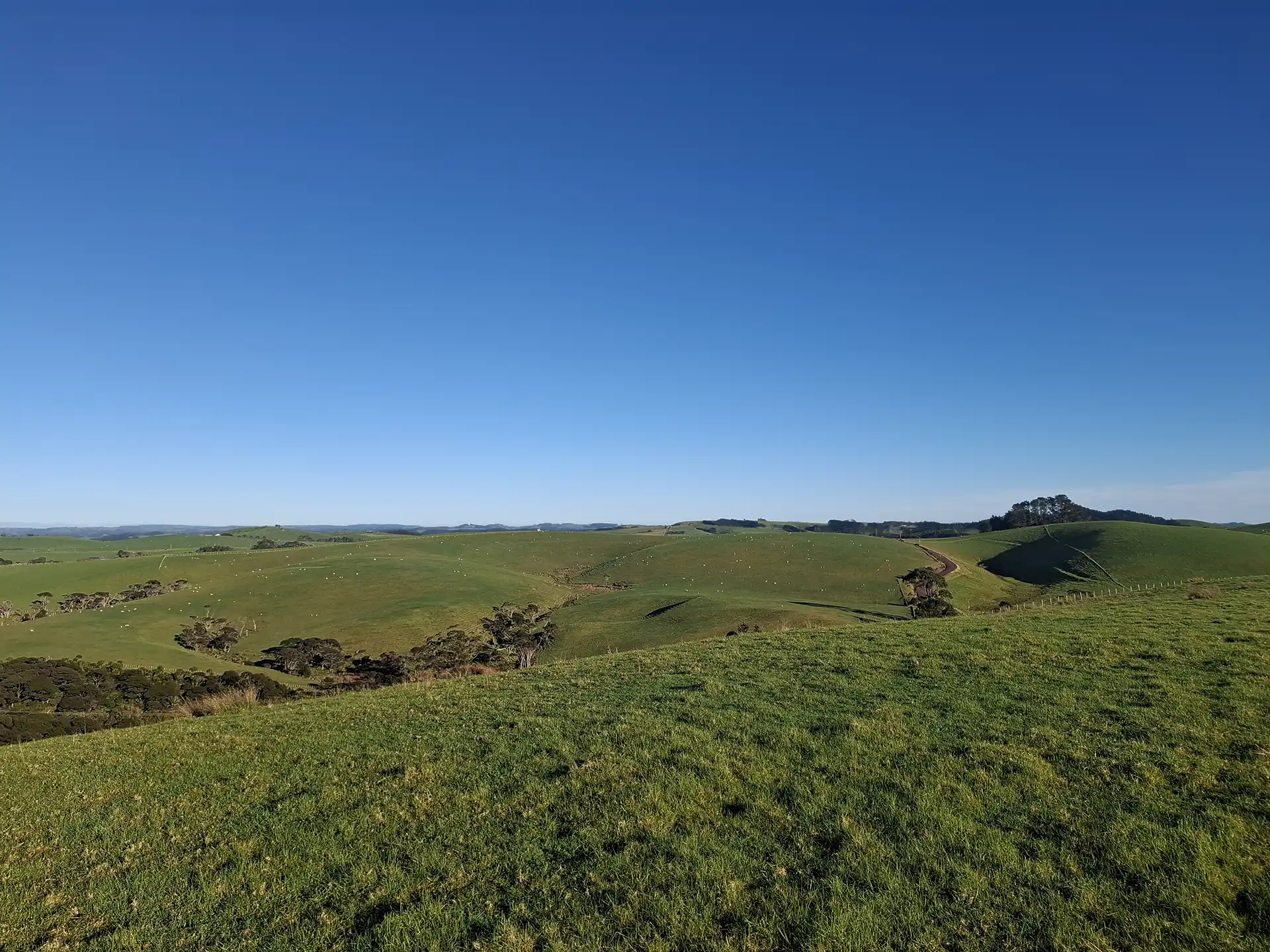 Wai Kōwhai Lot 4