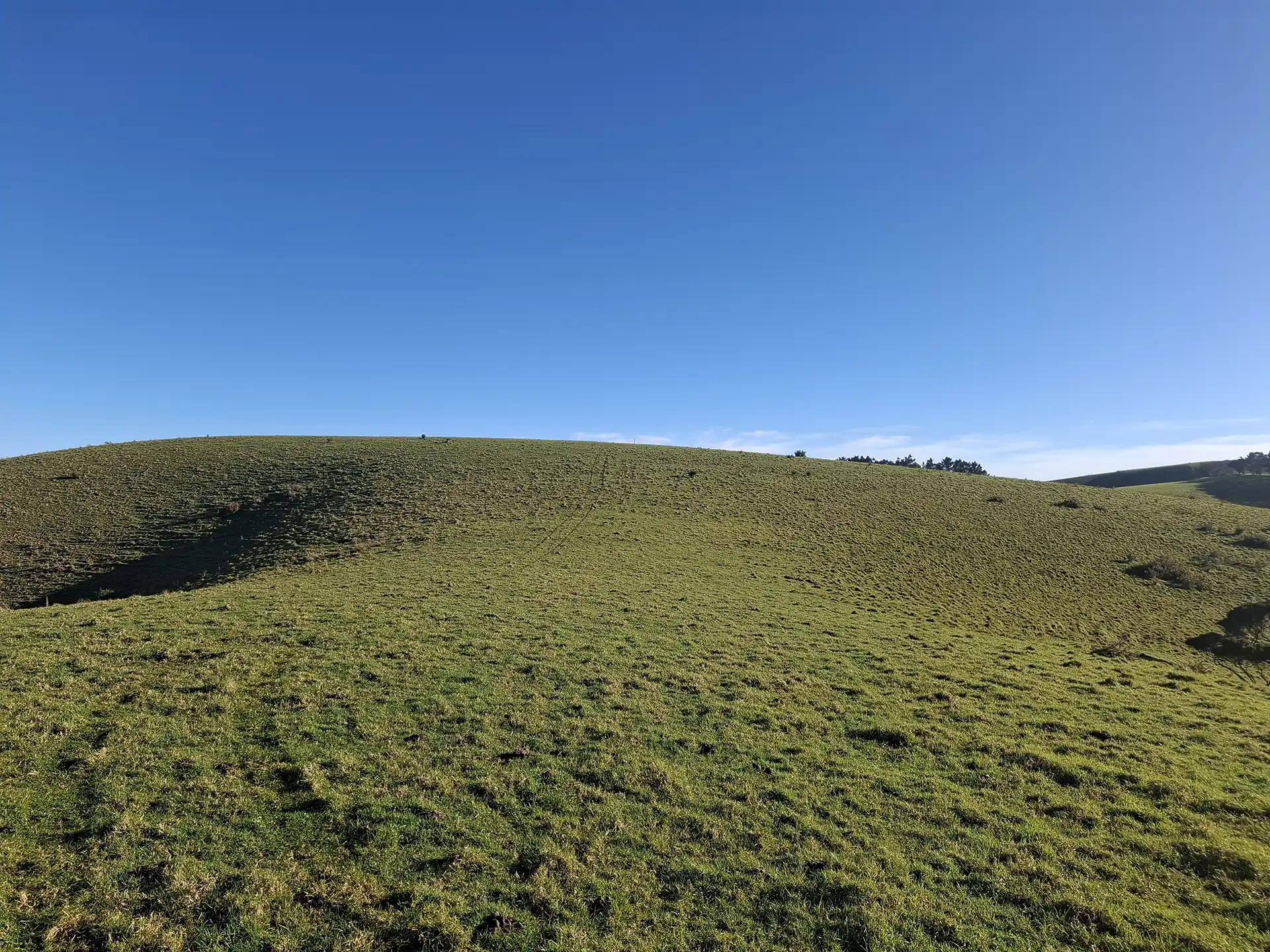 Wai Kōwhai Lot 5 -1