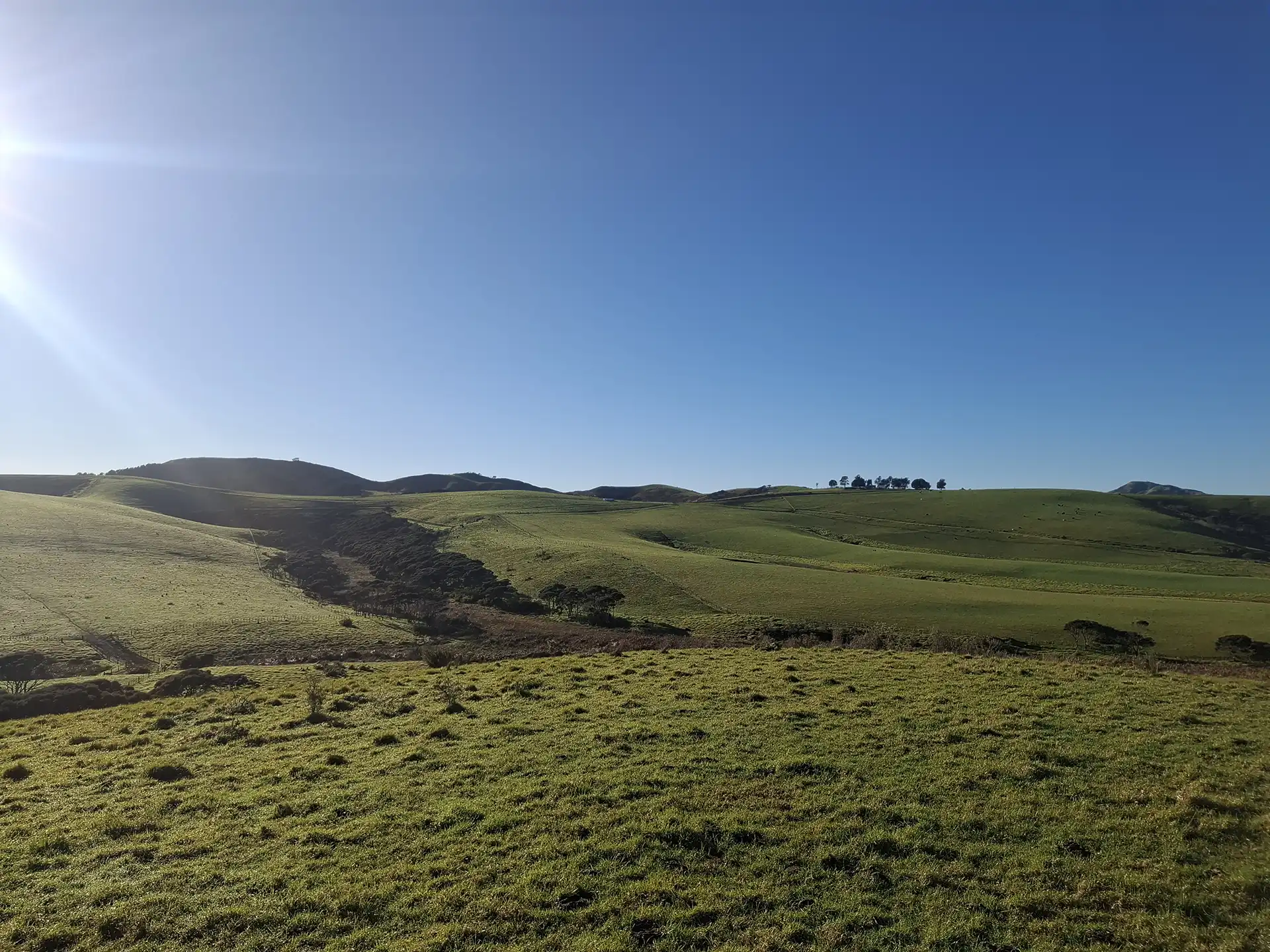 Wai Kōwhai Lot 5 -2