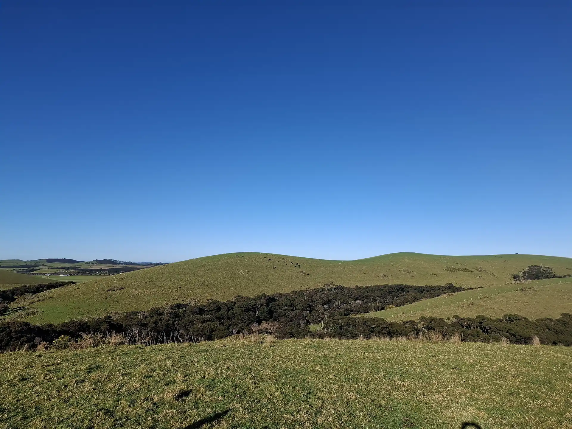 Wai Kōwhai Lot 5 -3