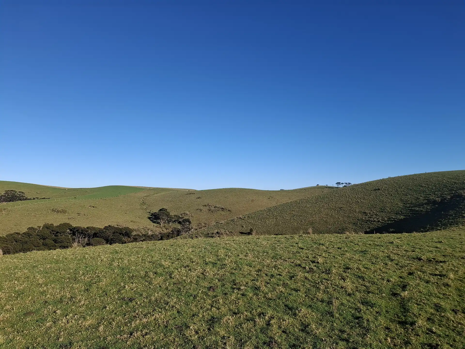 Wai Kōwhai Lot 5 -4