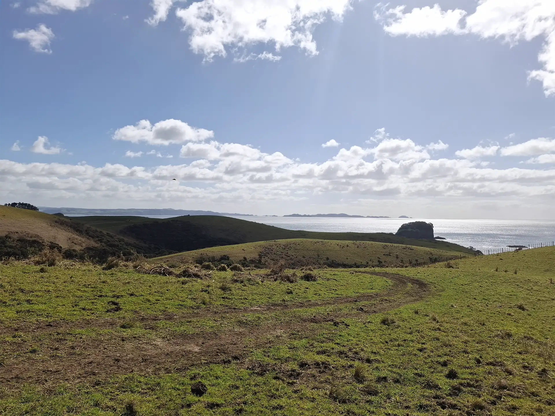 Wai Kōwhai Lot 50 -2