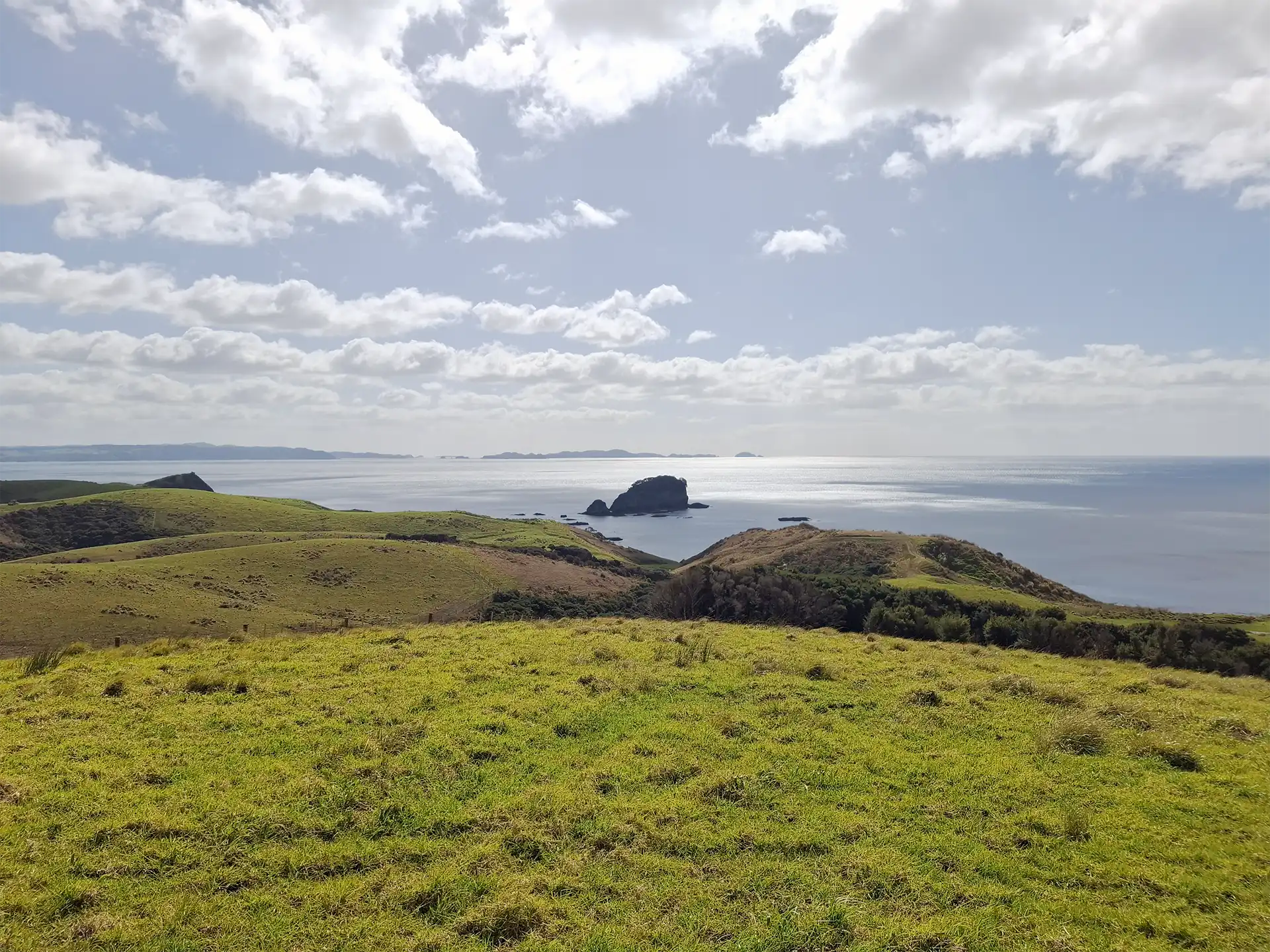 Wai Kōwhai Lot 51 -2