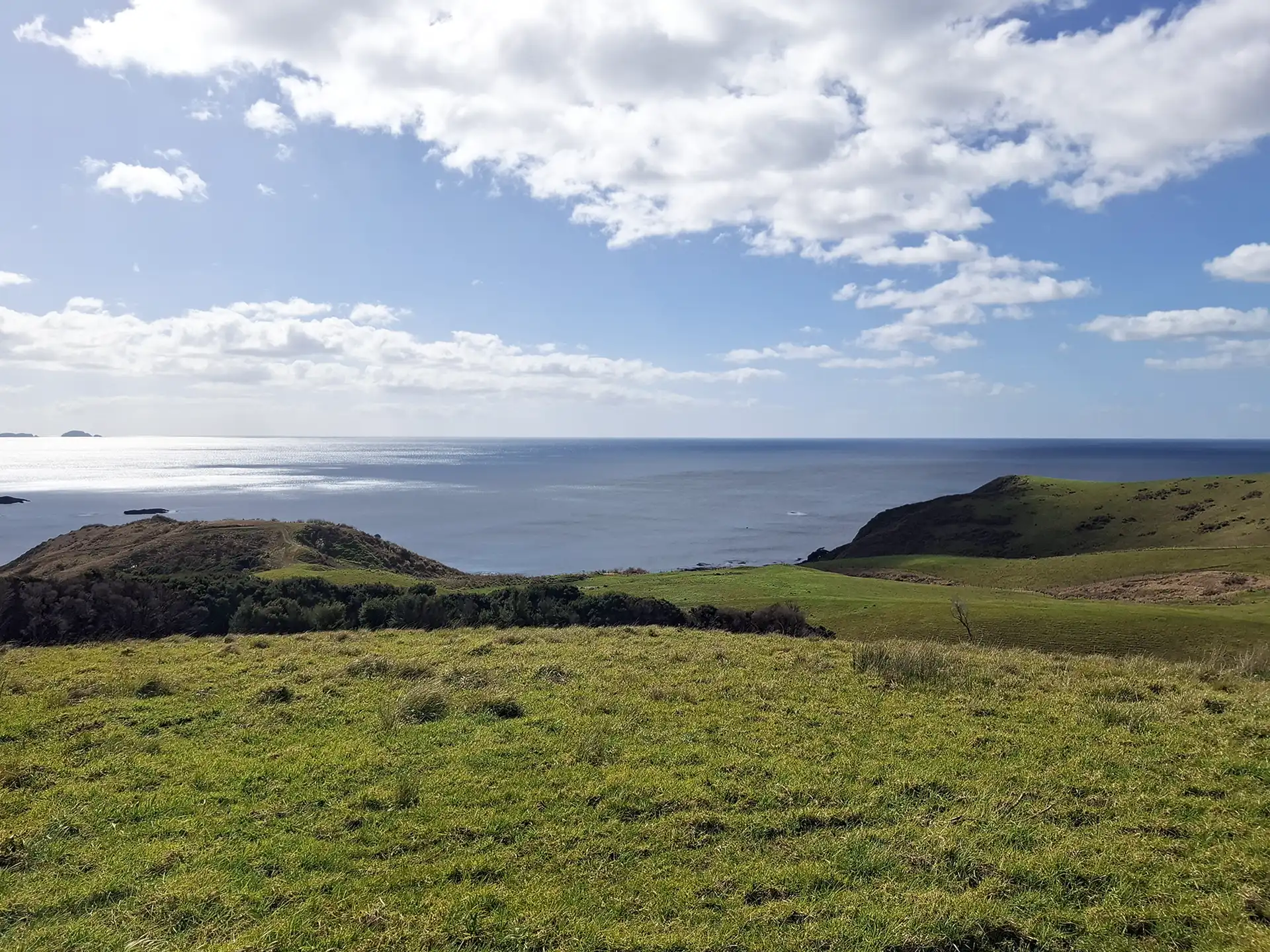 Wai Kōwhai Lot 51 -3