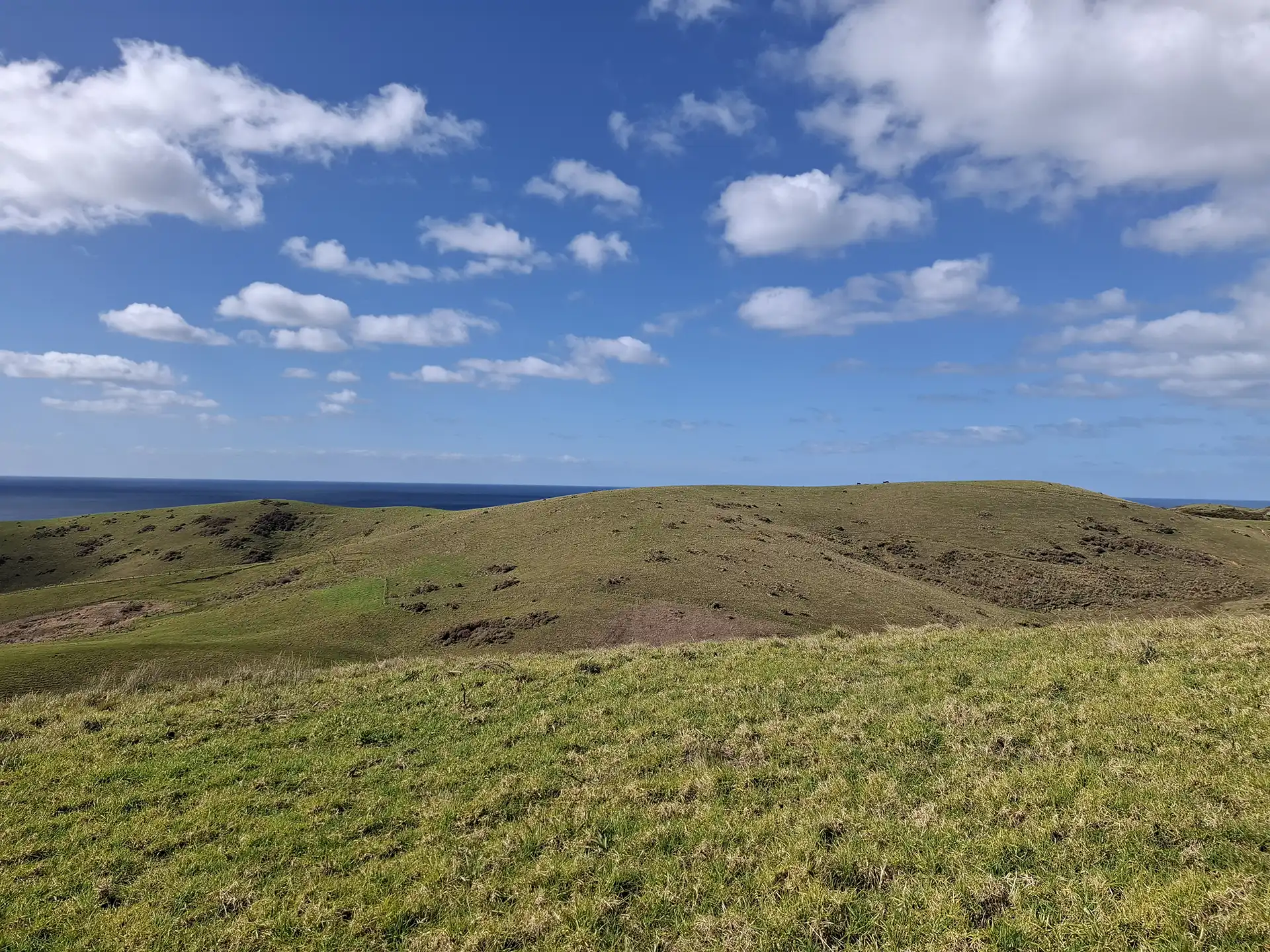 Wai Kōwhai Lot 51 -4