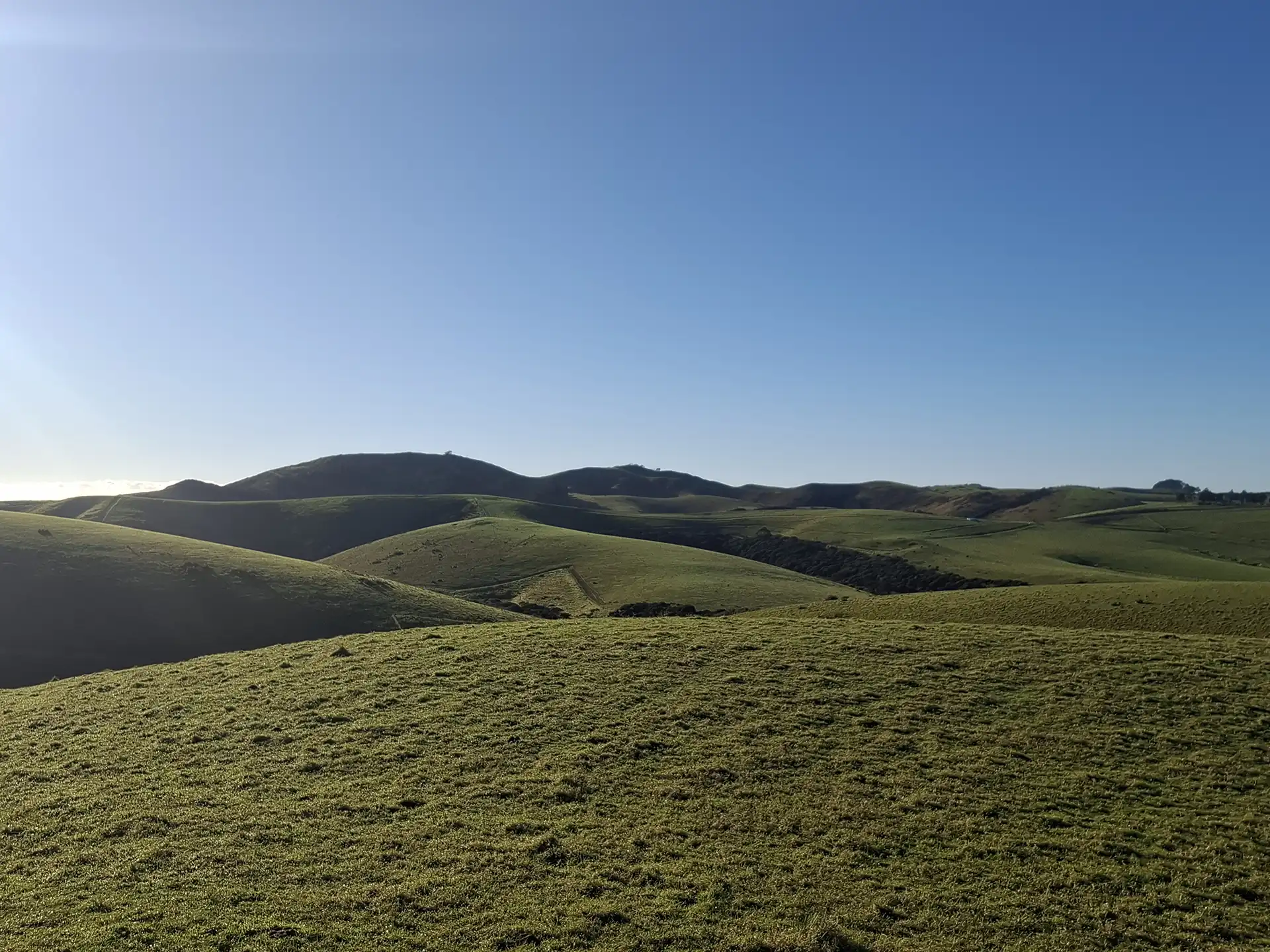 Wai Kōwhai Lot 6 -2