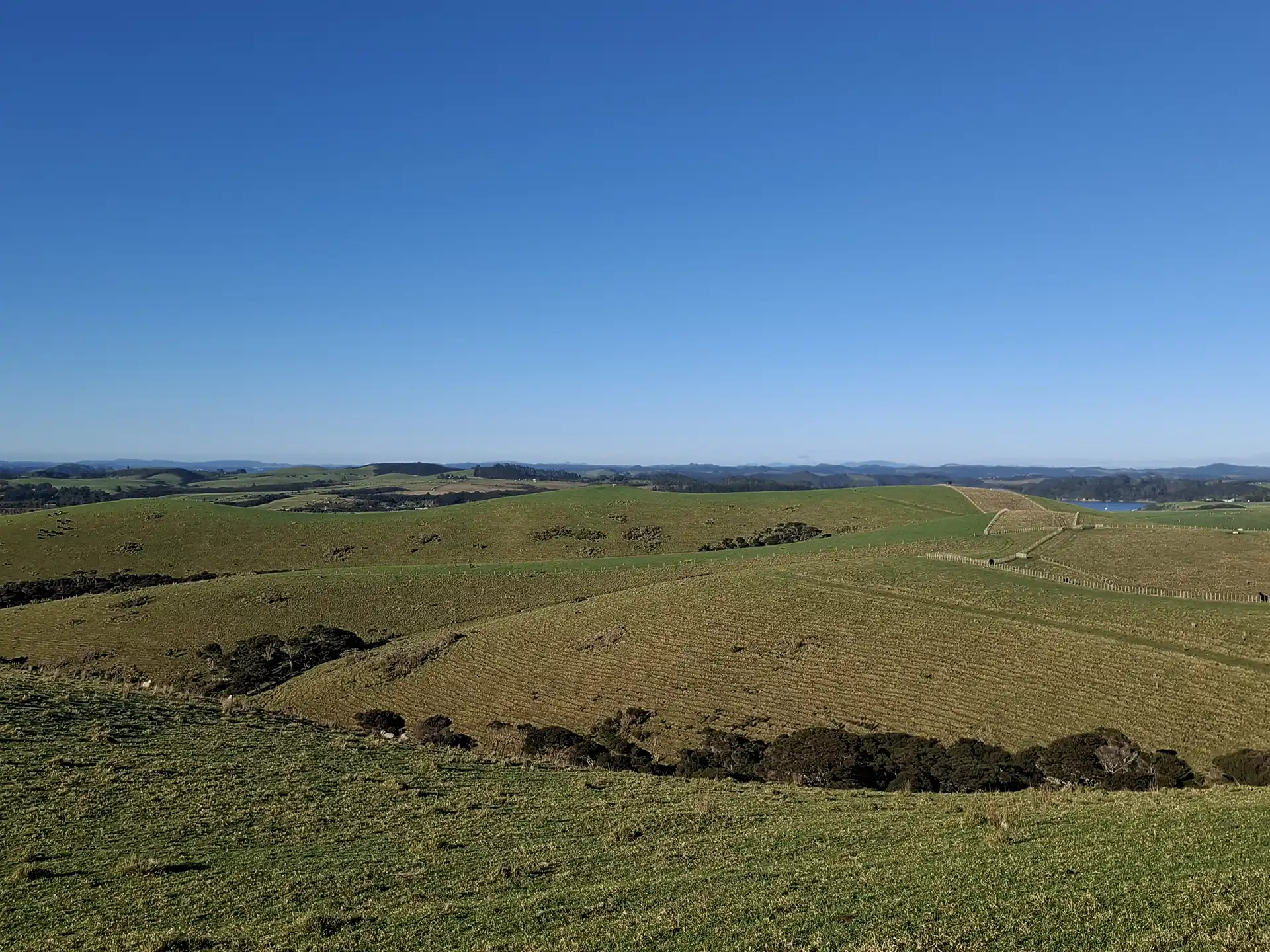 Wai Kōwhai Lot 6 -3