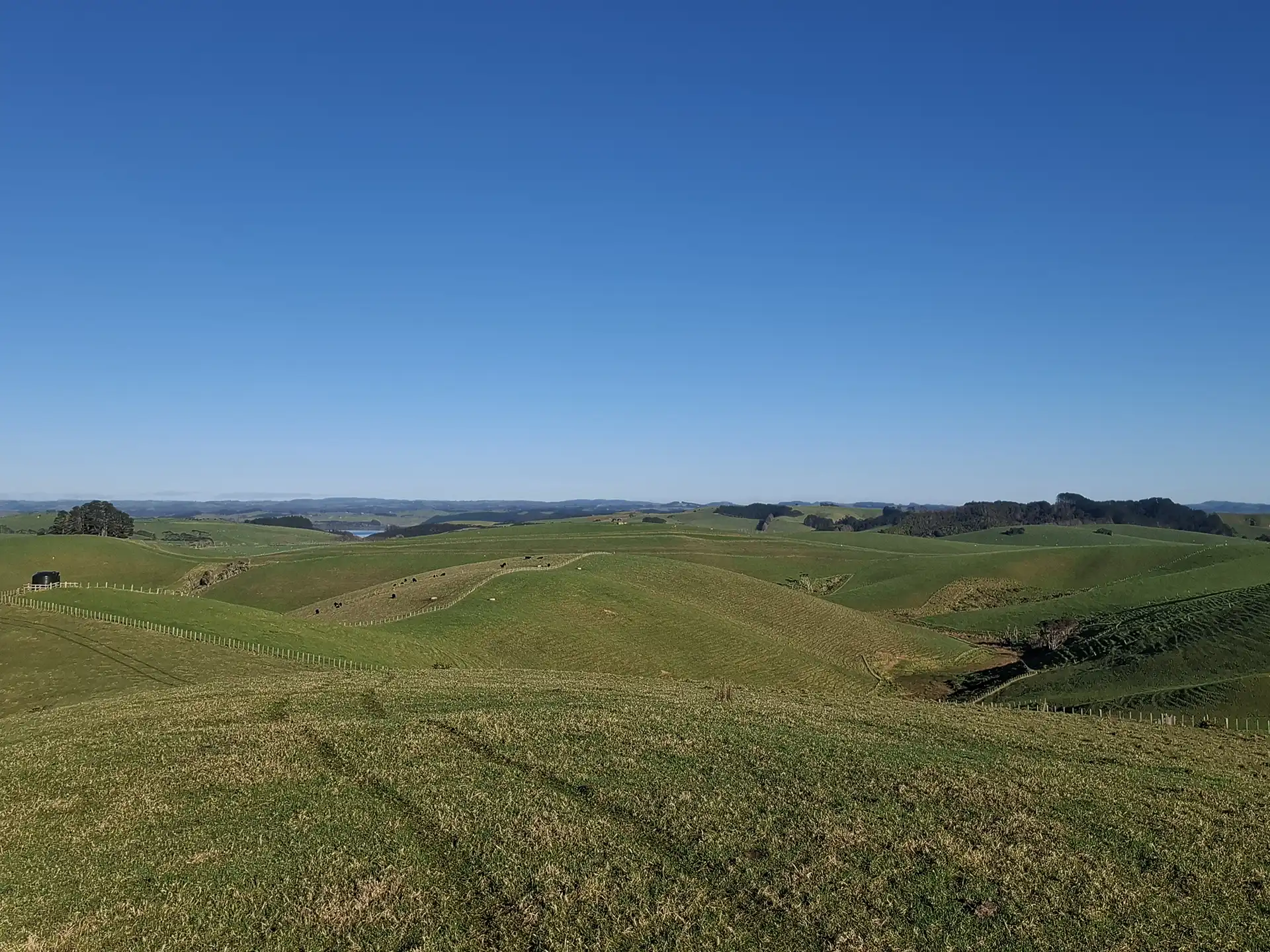 Wai Kōwhai Lot 6 -4